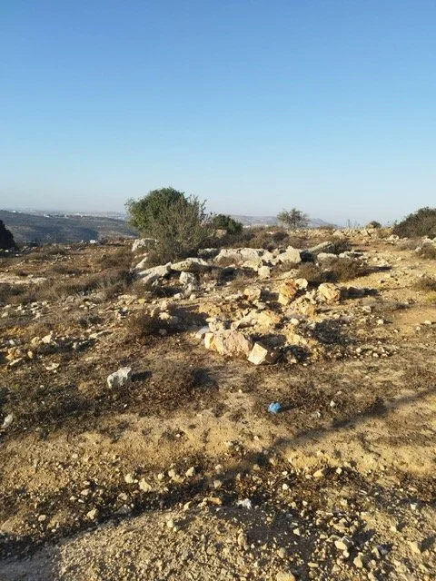 Ammuriya Playground Project! 🌿