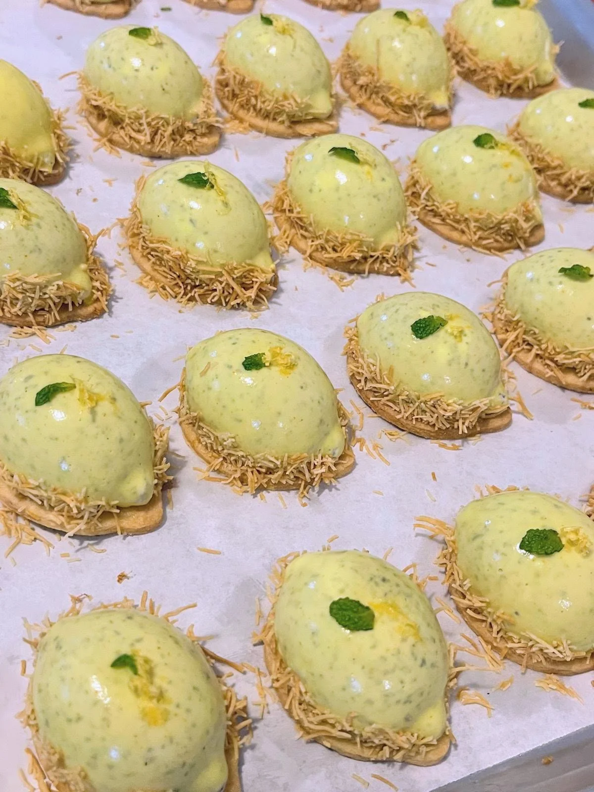 44313f1f-3da7-4d22-afae-292a58d63470 (1).jpg