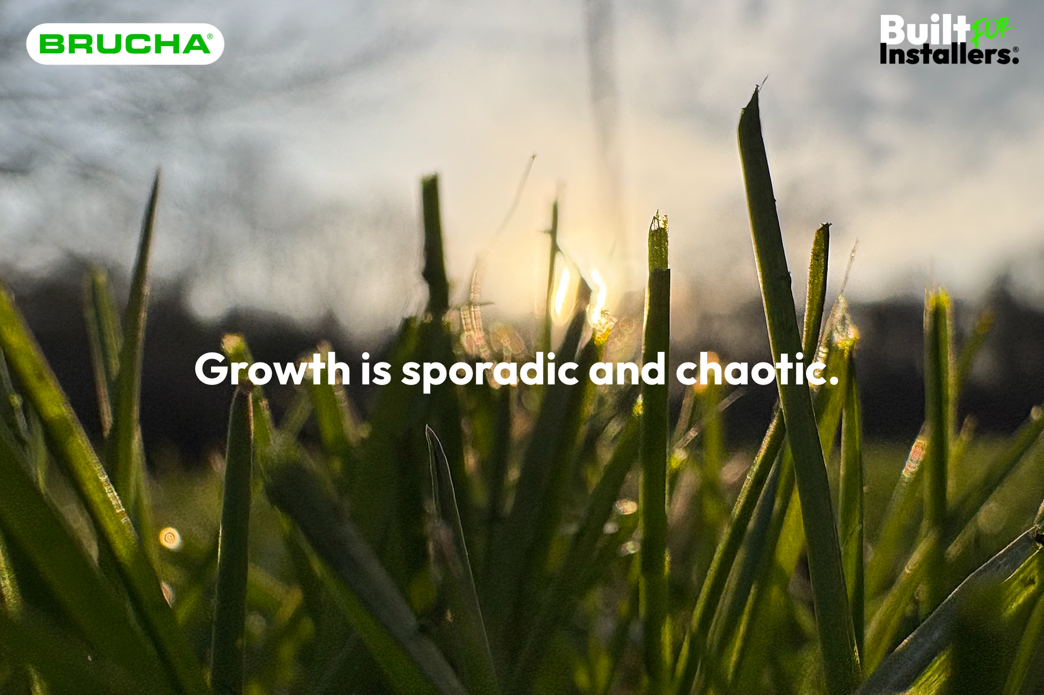 Nobody tells you that growth is supposed to feel like this.