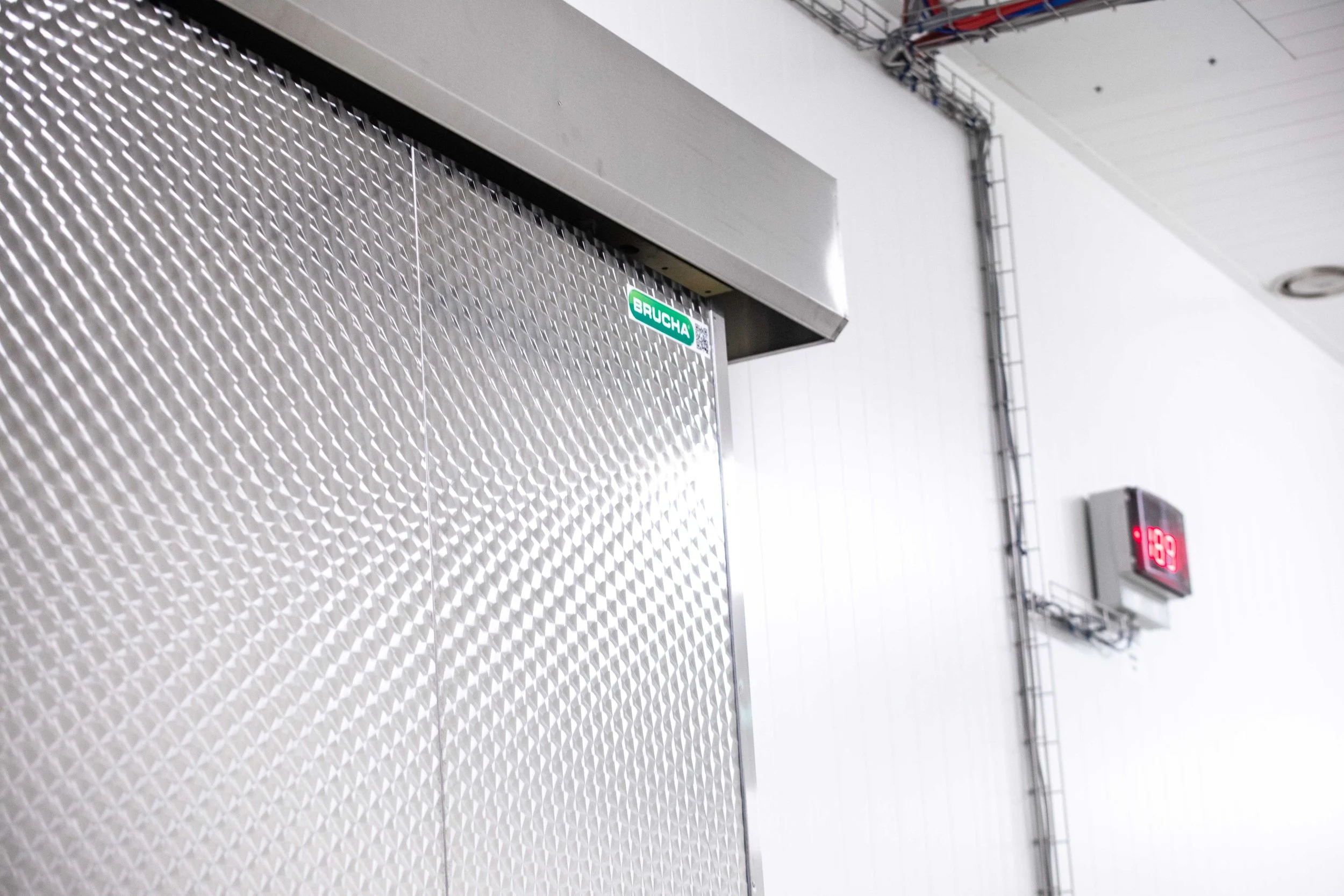 Insulated Metal Doors | High-Performance Cold Storage & Clean Room ...