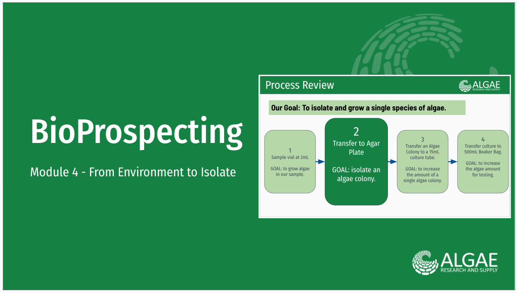 This is an image of the cover slide of the developed module for bioprospecting