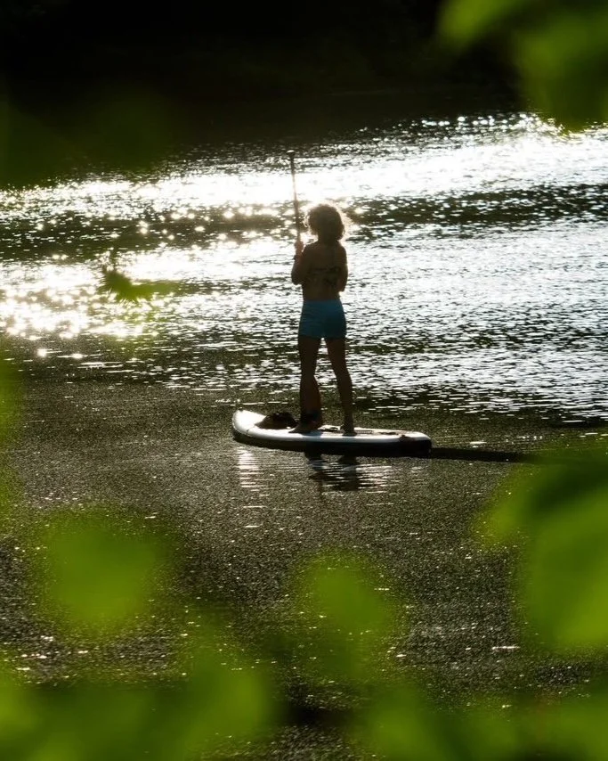 Silhouette of a person paddleboarding on a sunlit river, surrounded by lush greenery.