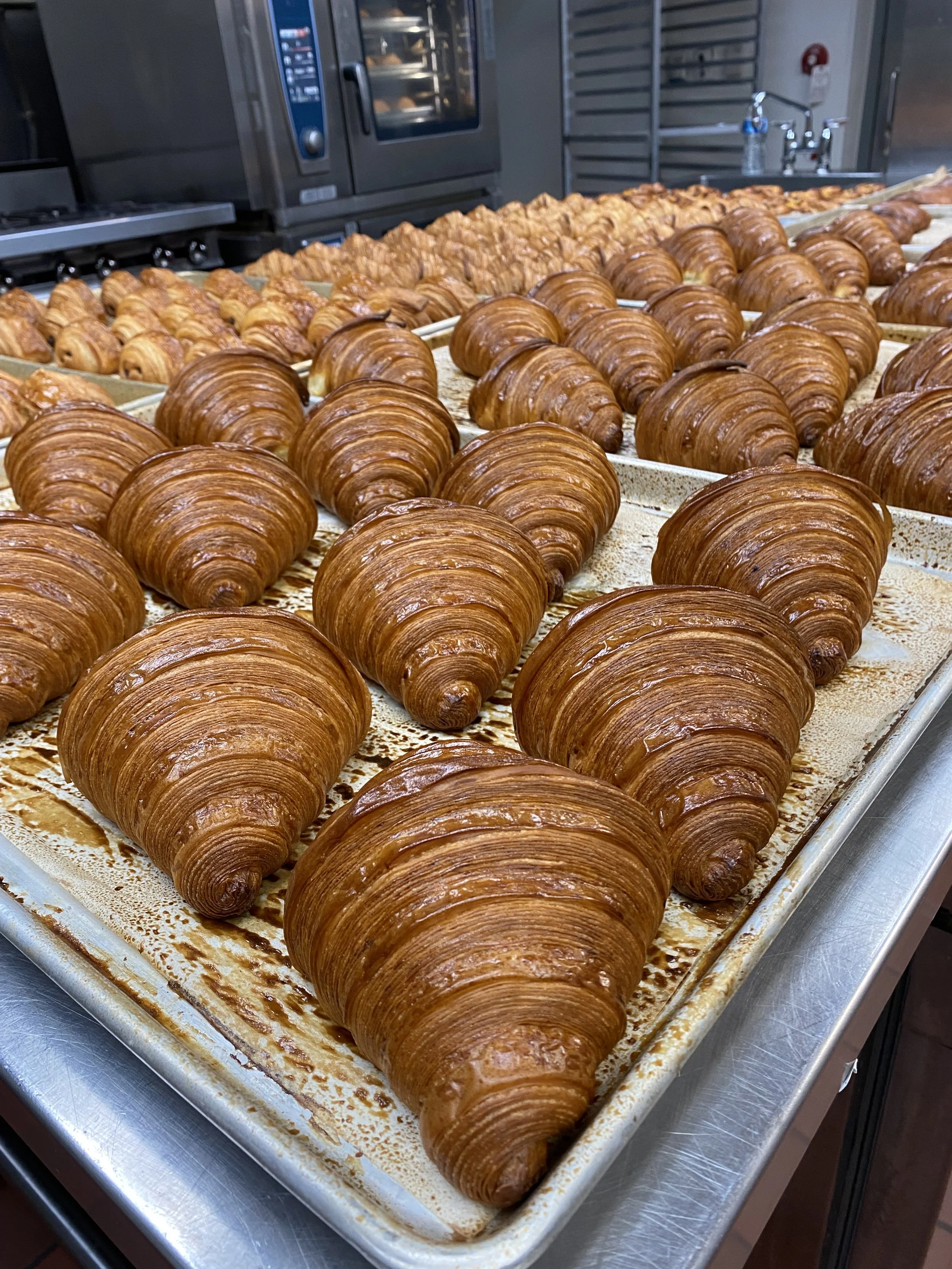 Multiple freshly baked croissants on a baking sheet in a commercial kitchen.