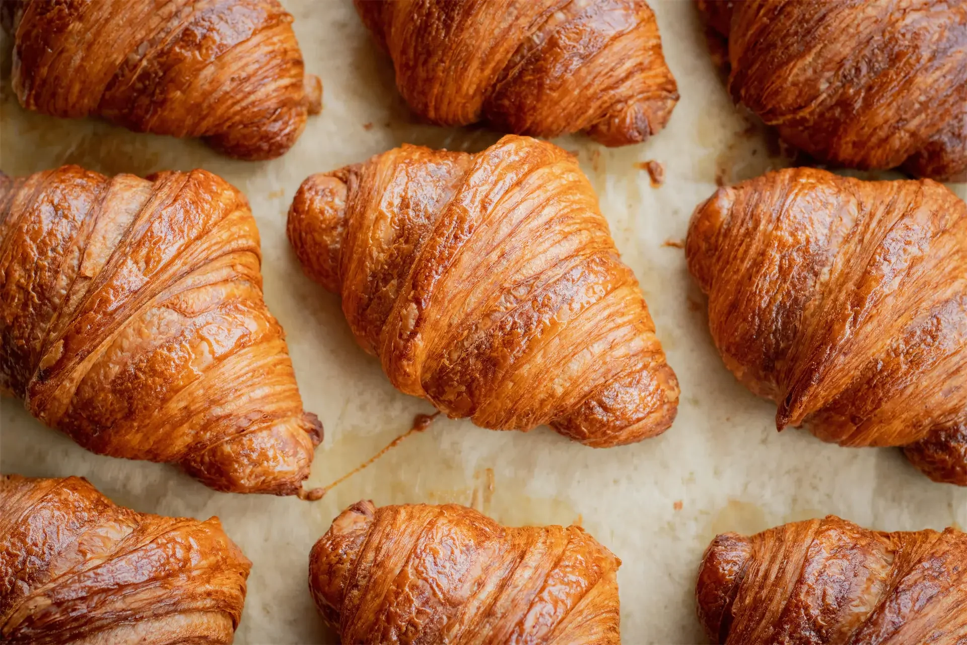 Freshly baked croissants on parchment paper