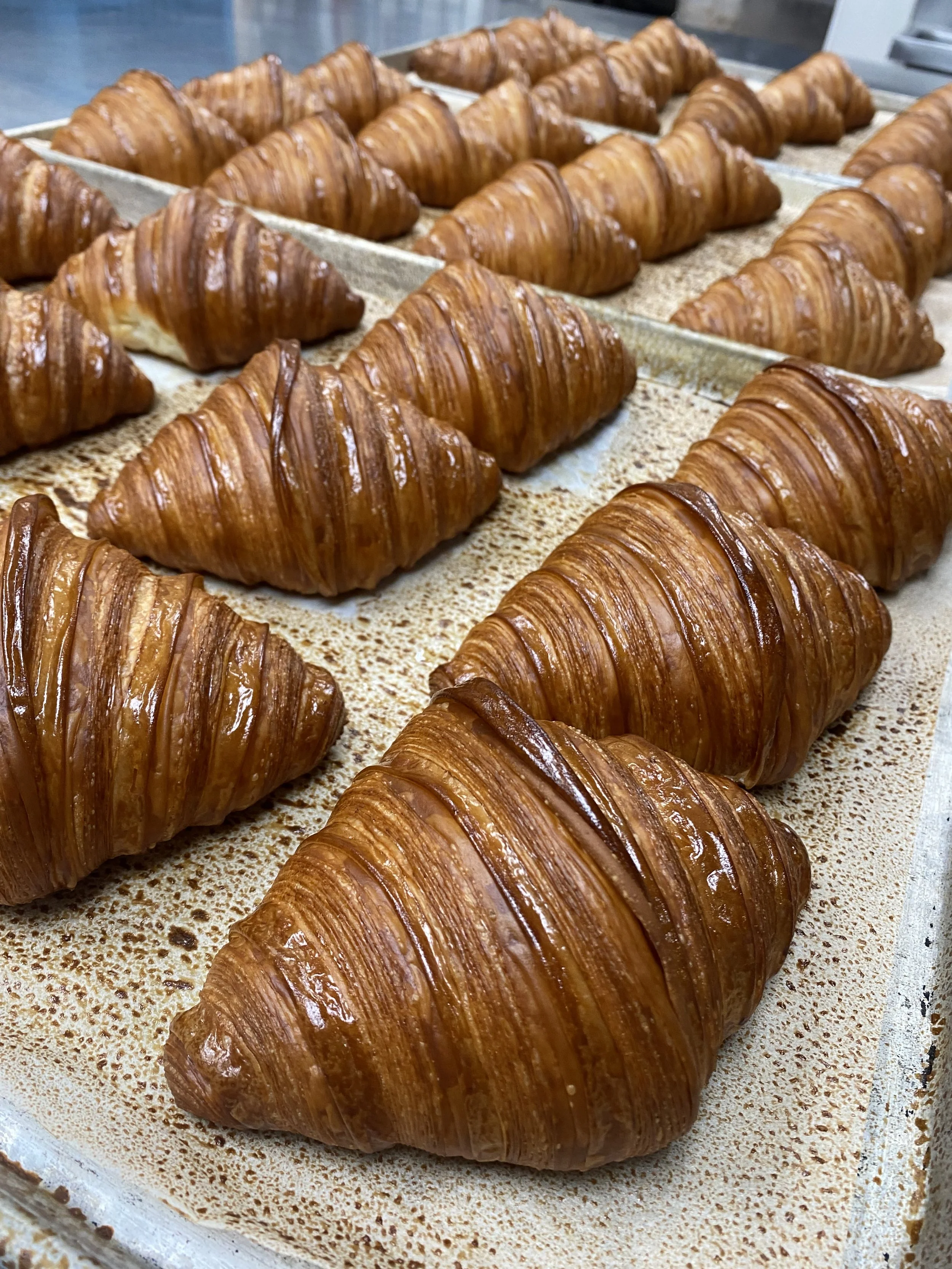 Freshly baked croissants on a baking sheet.