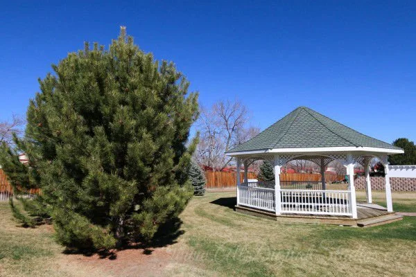 A large green pine tree and a white gazebo with a gray roof in a backyard with a wooden fence and clear blue sky.