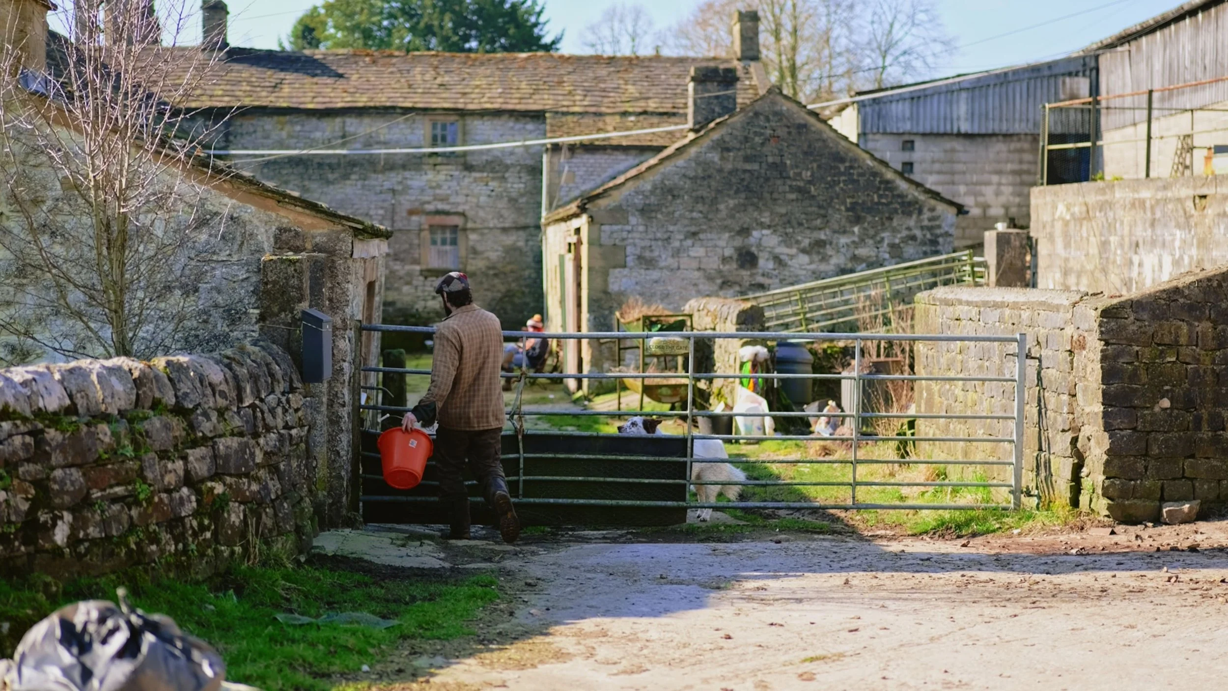 Still 2025-11-23 095519_8.1.22_8.1.12-min.jpg