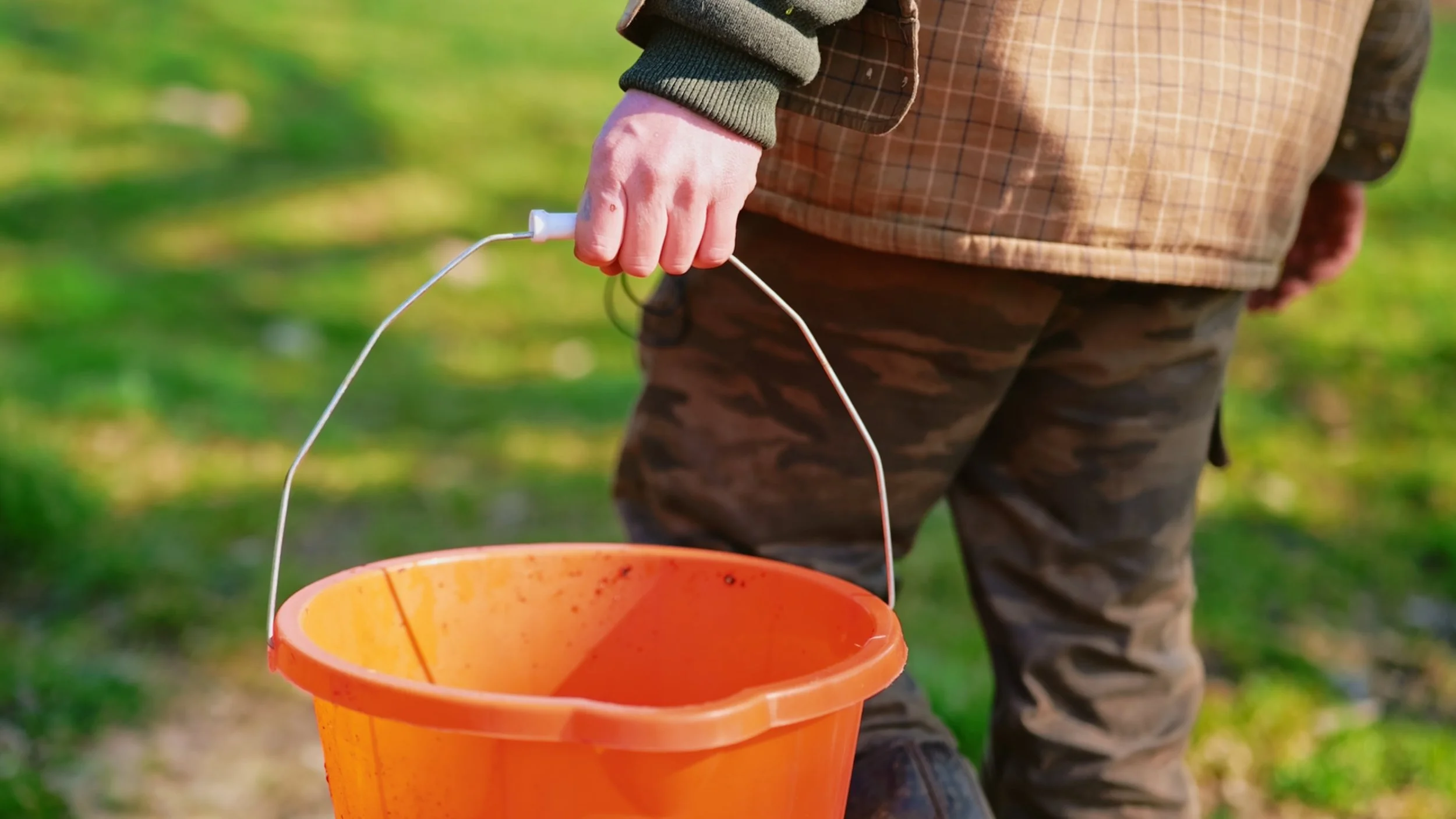 Still 2025-11-23 095519_8.1.22_8.1.9-min.jpg