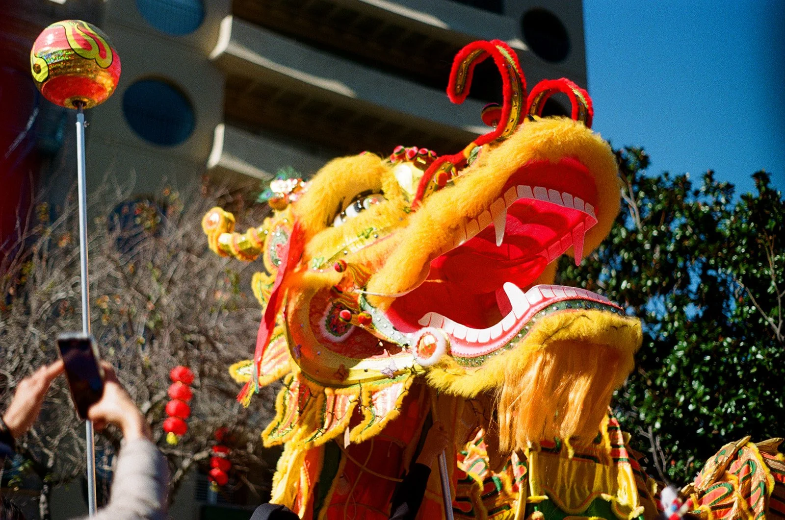 San Francisco, CA | SF Chinatown 