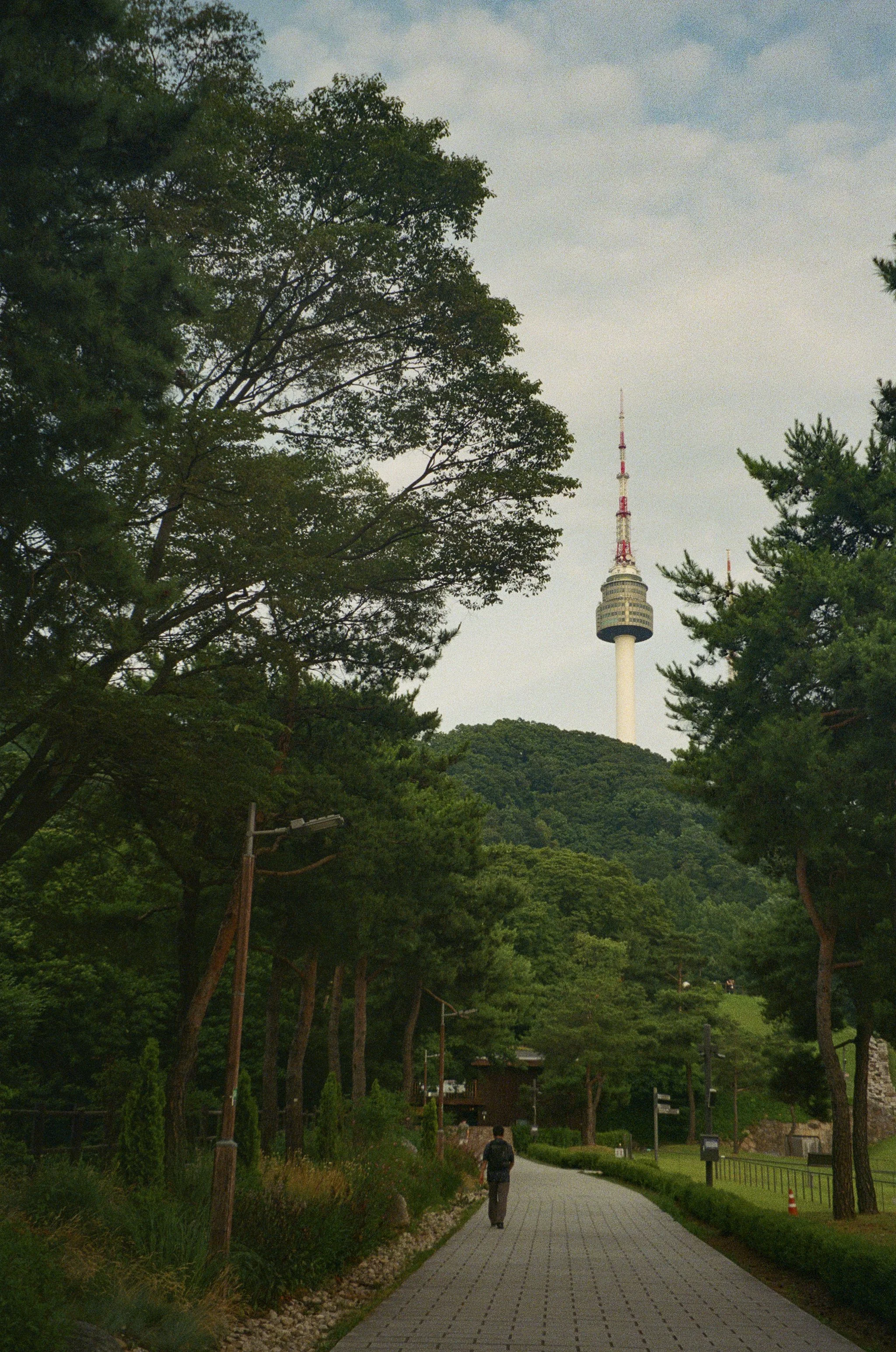 AD-65.jpg