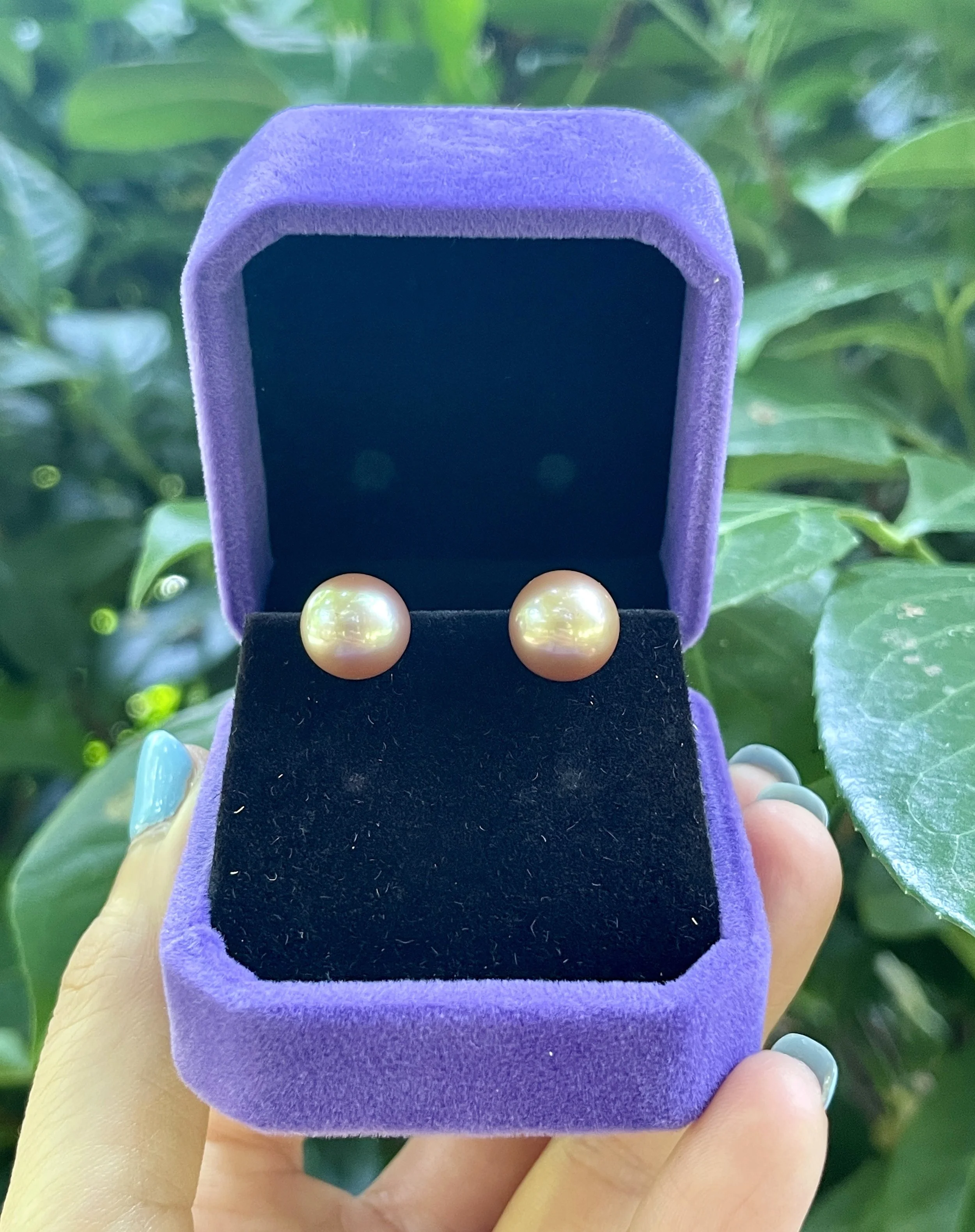 A pair of 9-10mm perfectly round champagne gold freshwater pearl stud earrings with exceptional mirror luster, displayed in a purple velvet box.