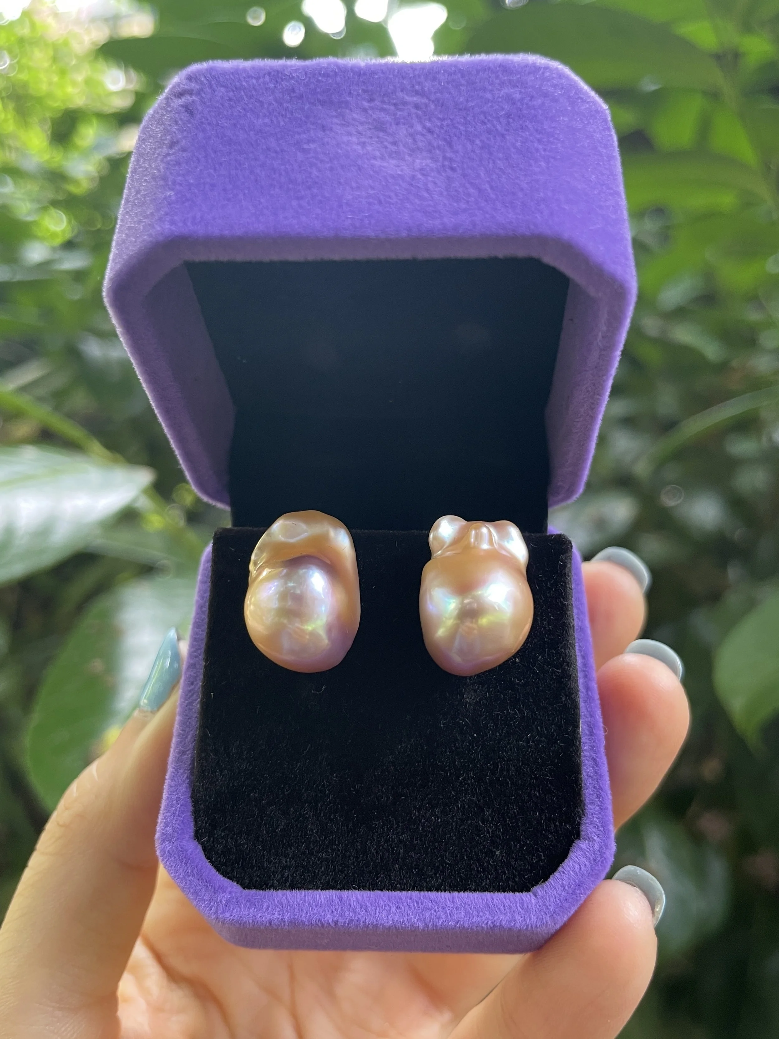 A pair of large, uniquely shaped freshwater baroque pearl stud earrings featuring iridescent lavender pink and champagne gold tones with exceptional mirror luster, displayed in a purple velvet box.