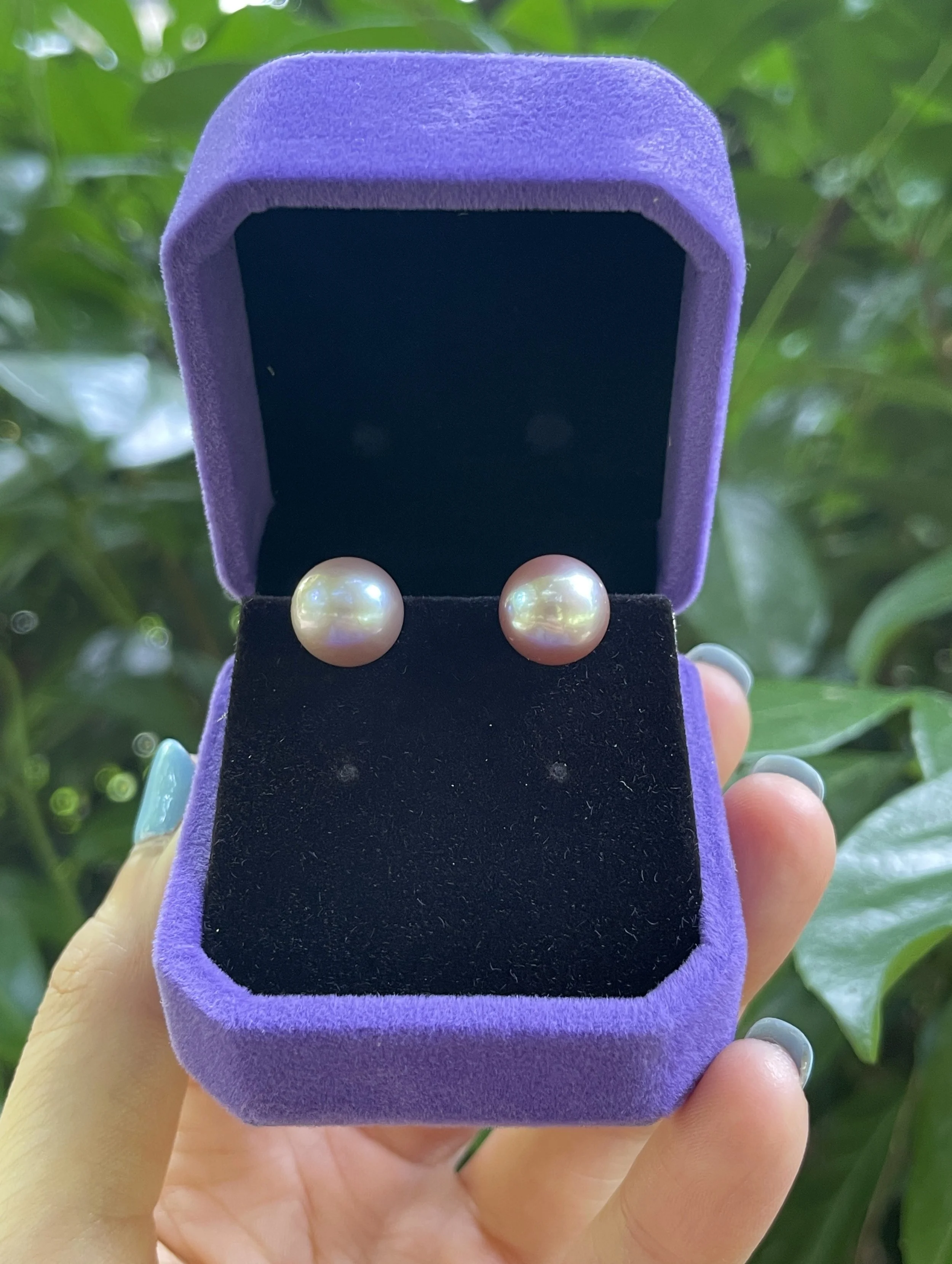 A pair of 9-10mm round lavender freshwater pearl stud earrings with exceptional mirror luster and metallic overtones, presented in a purple velvet box.
