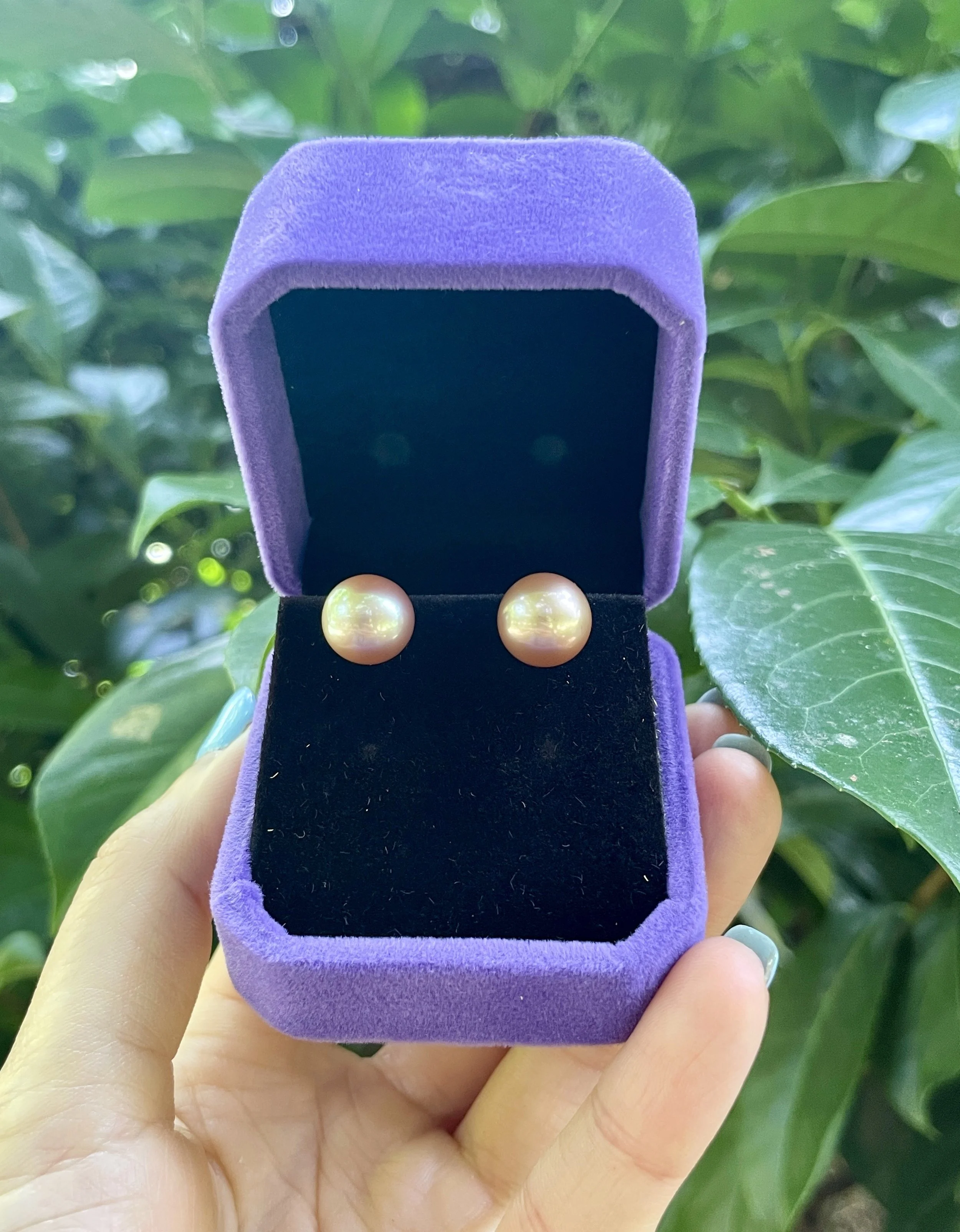 champagne-gold-freshwater-pearl-stud-earrings-9-10mm.jpg