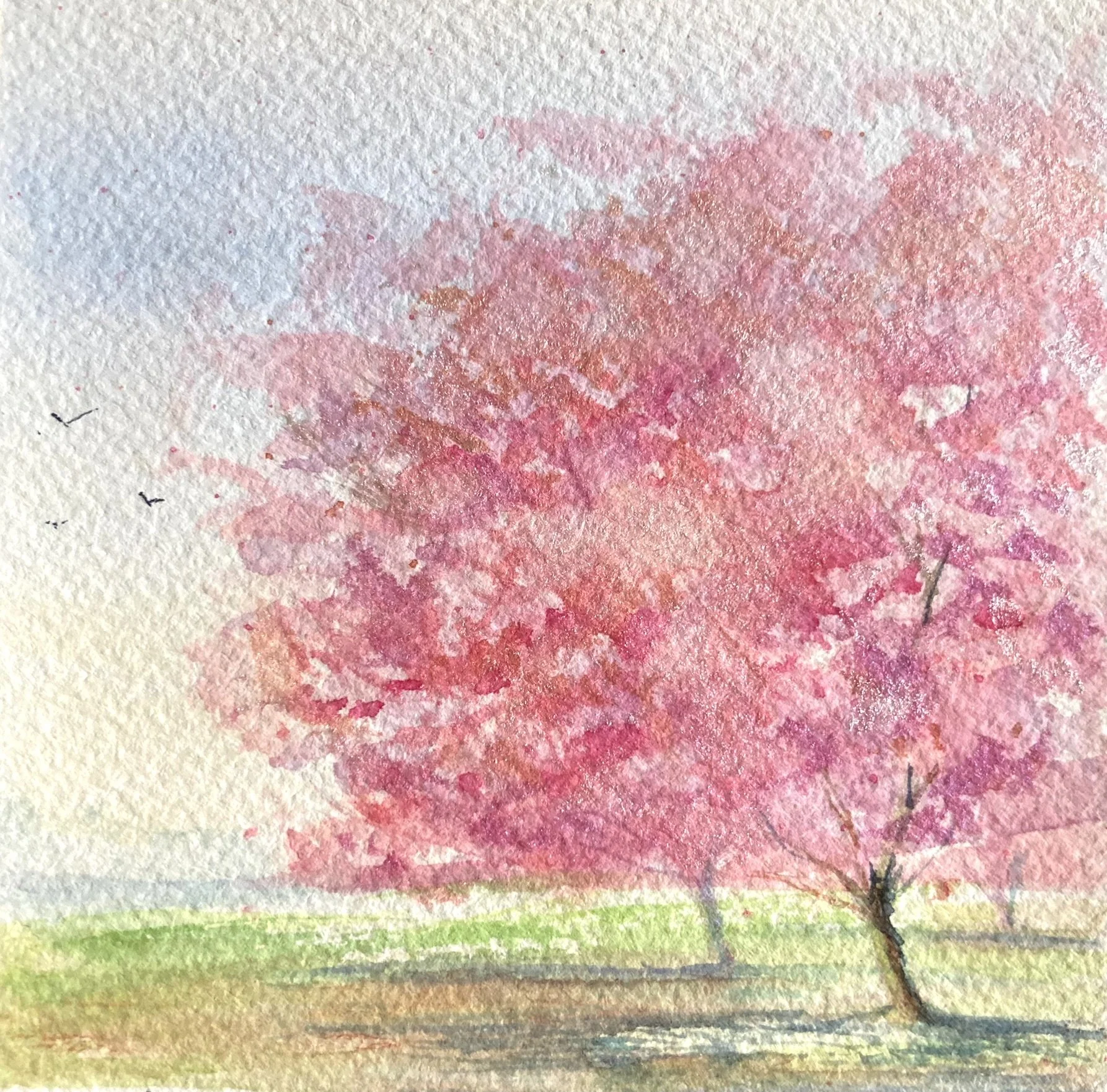 Blossoming Serenity: Pink Tree Watercolor Painting