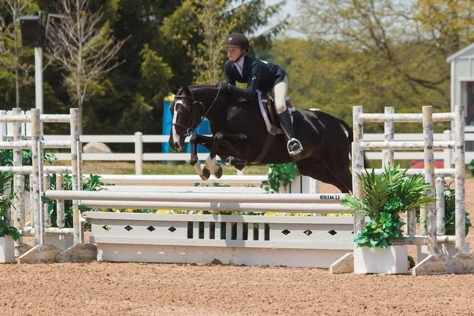 Tips For Leasing A Horse Or Pony