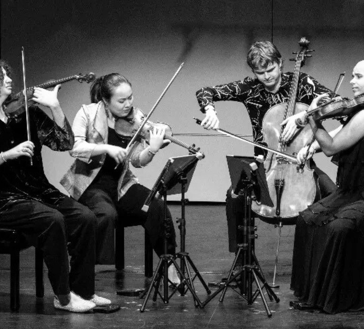 String Quartet Academy