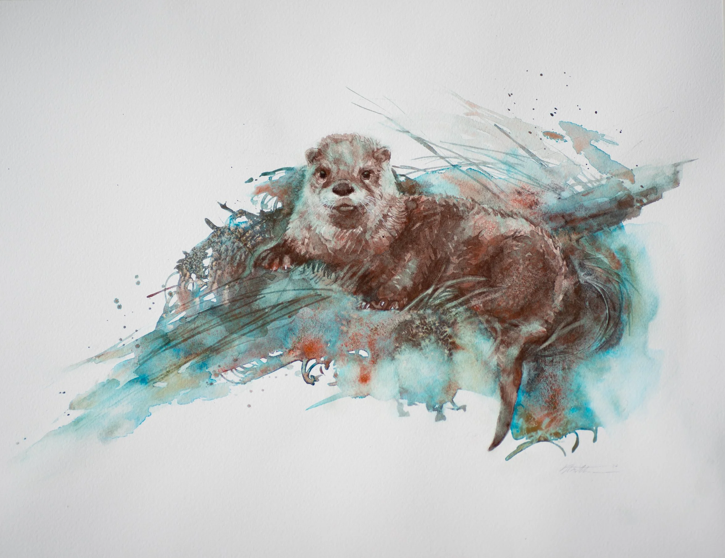 river otter.jpg