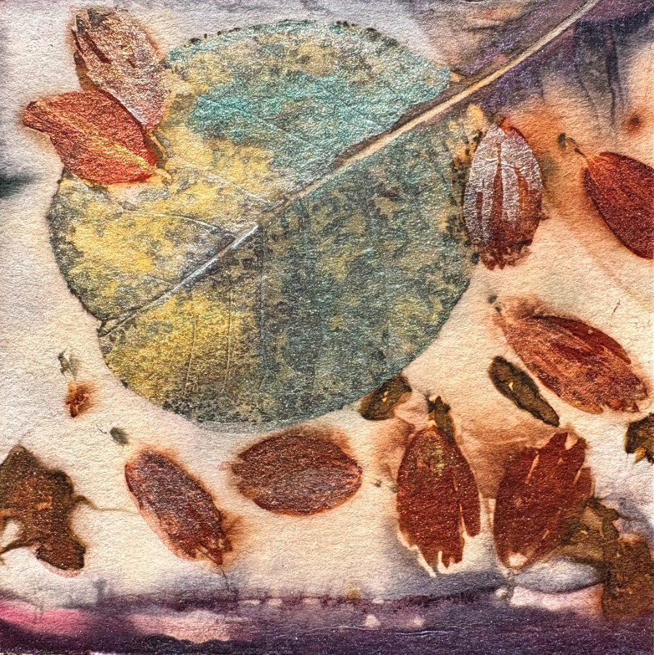 Close-up of a green and yellow leaf surrounded by smaller reddish-brown leaves and debris on a textured surface.