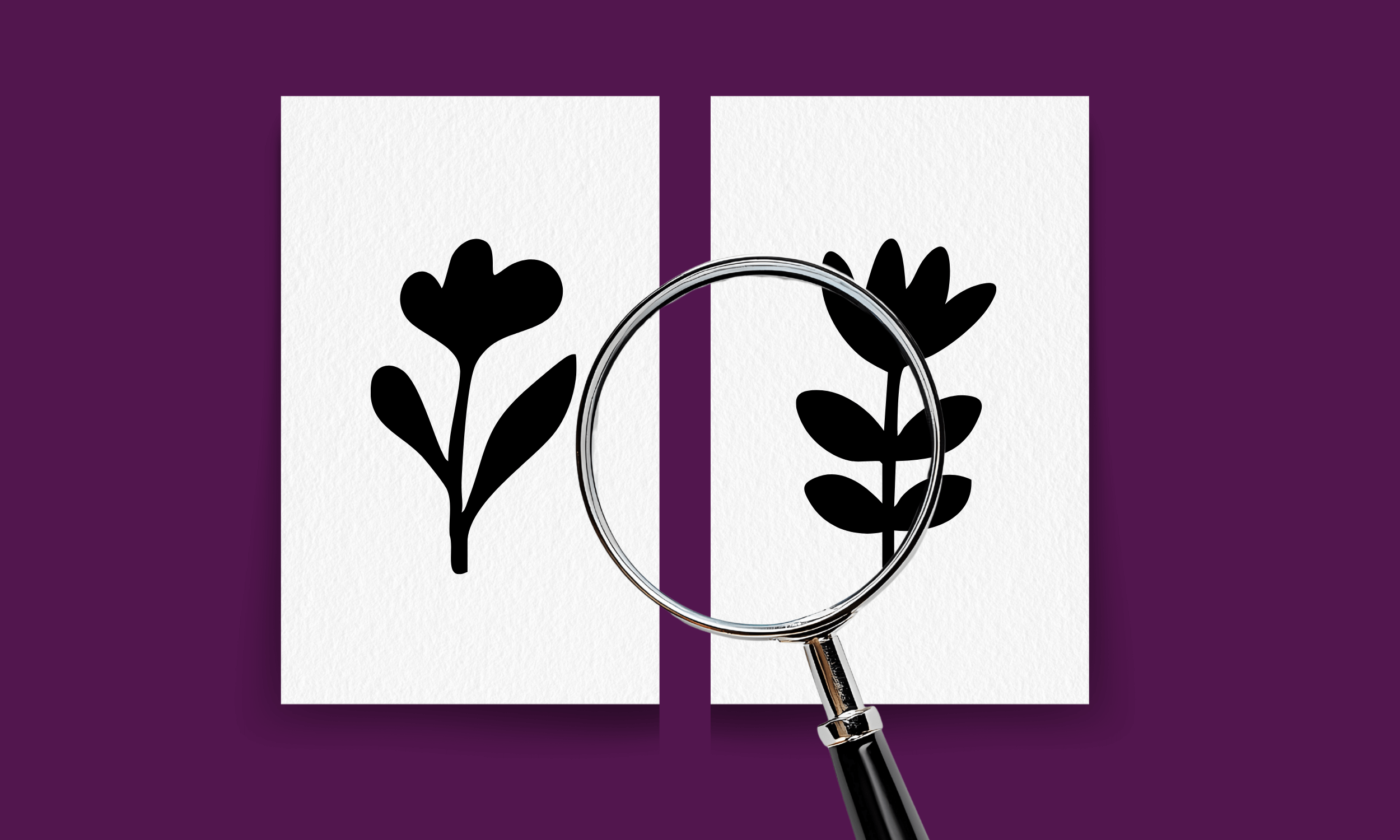 Letters Testamentary vs. Death Certificate: What’s the Difference?