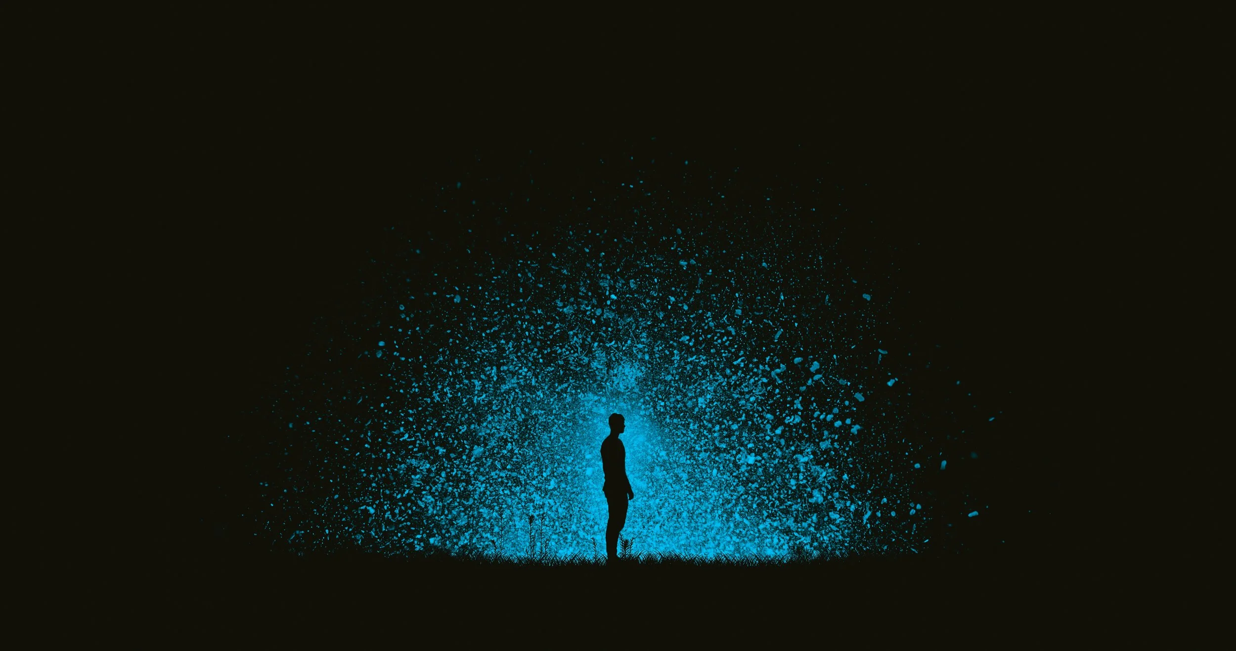 digital echo