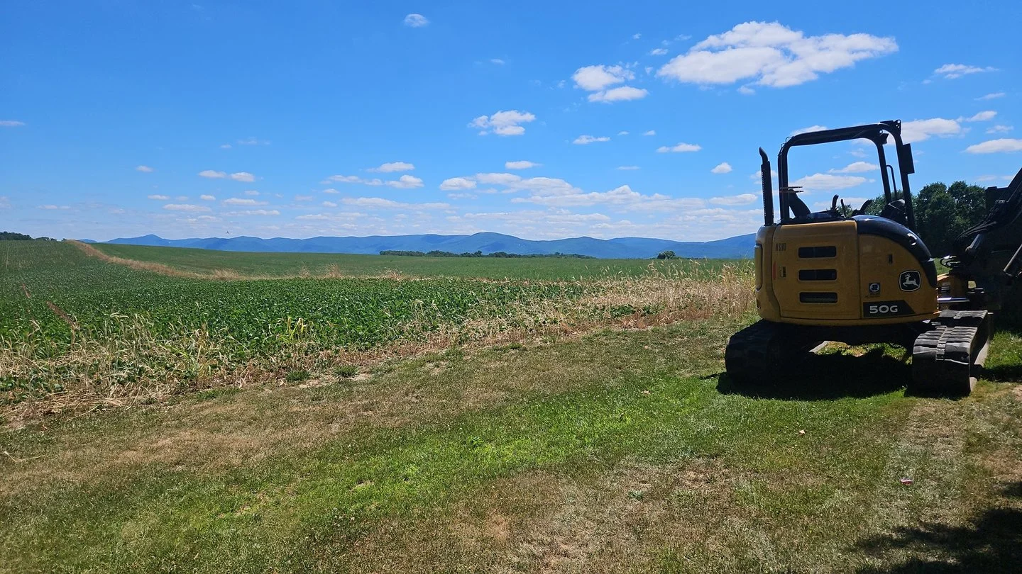 Land-Clearing-Albemarle-VA.jpeg.jpg