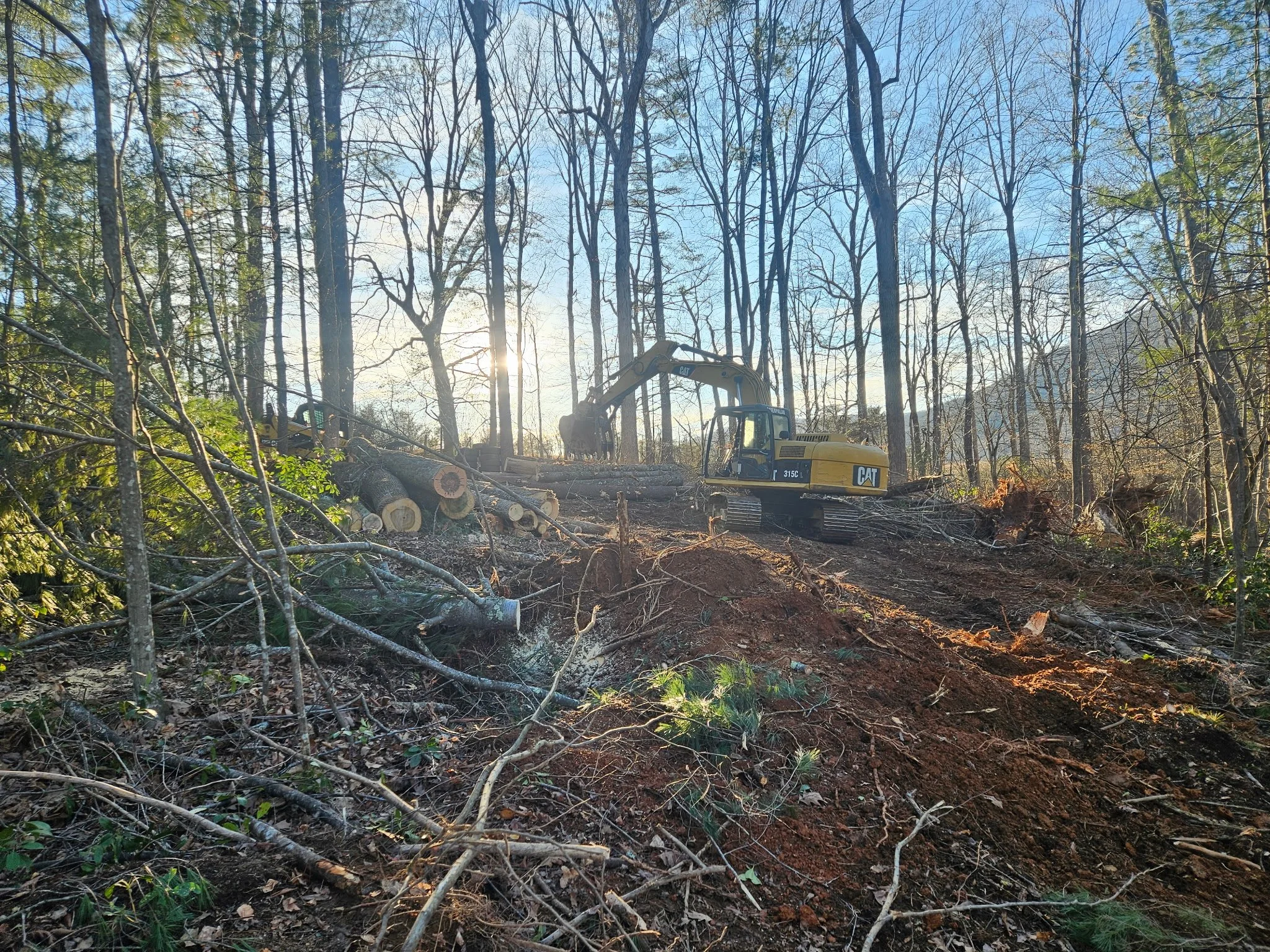 Land-Clearing-Nelson-County-VA.jpeg.JPG