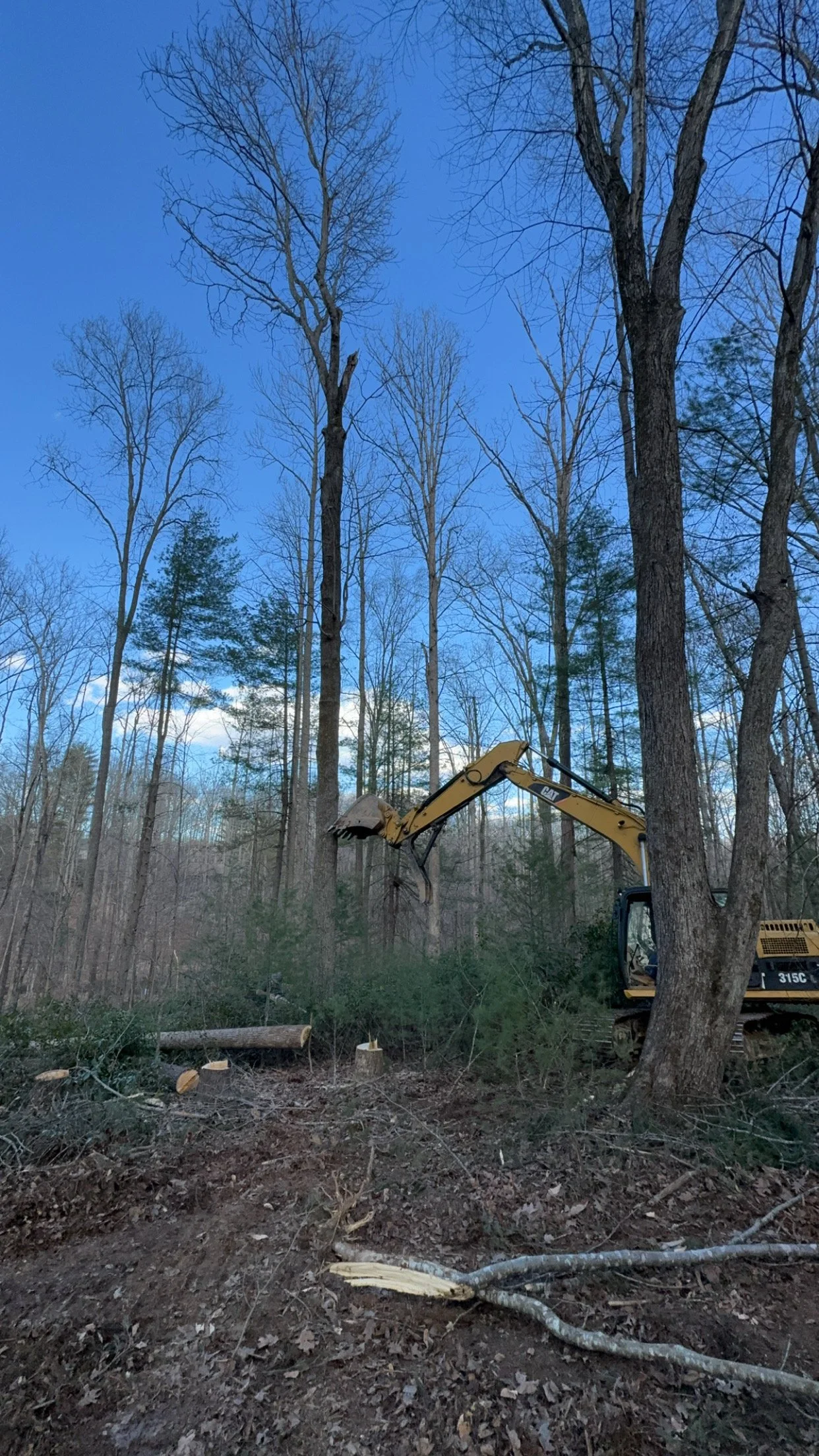 Land-Clearing-Charlottesville-Va.jpeg.JPG
