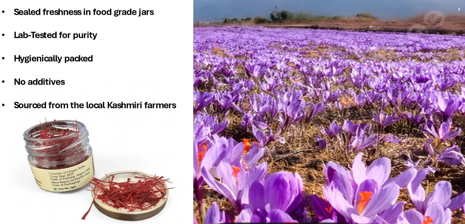 sfron reva foods 01.jpg