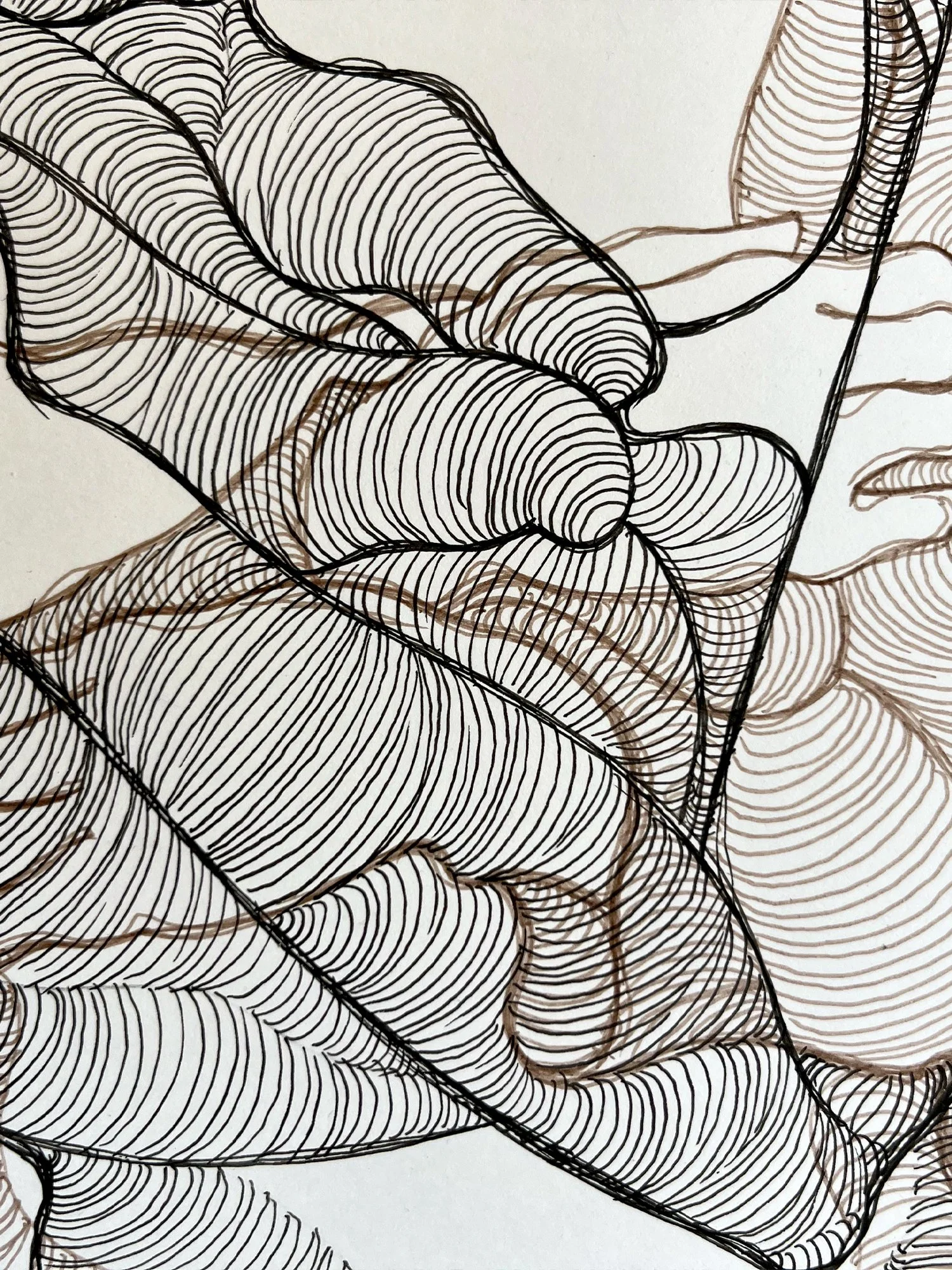 Surreal contemporary line drawing with layered female faces and feline energy. Expressive black and sepia ink, delicate yet intense, abstract female identity. Detail.