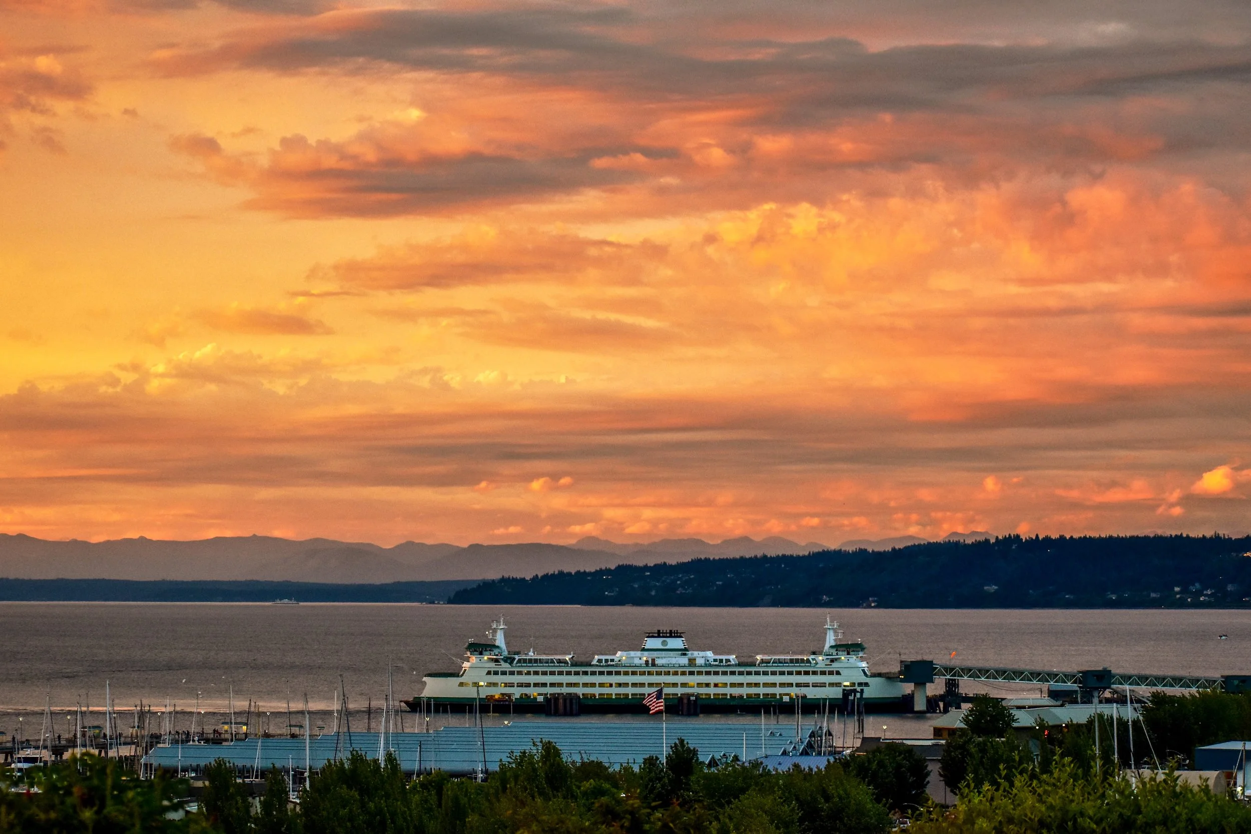 D2A09D11-CDA6-4E5E-A314-50E75422E03B 2.JPG