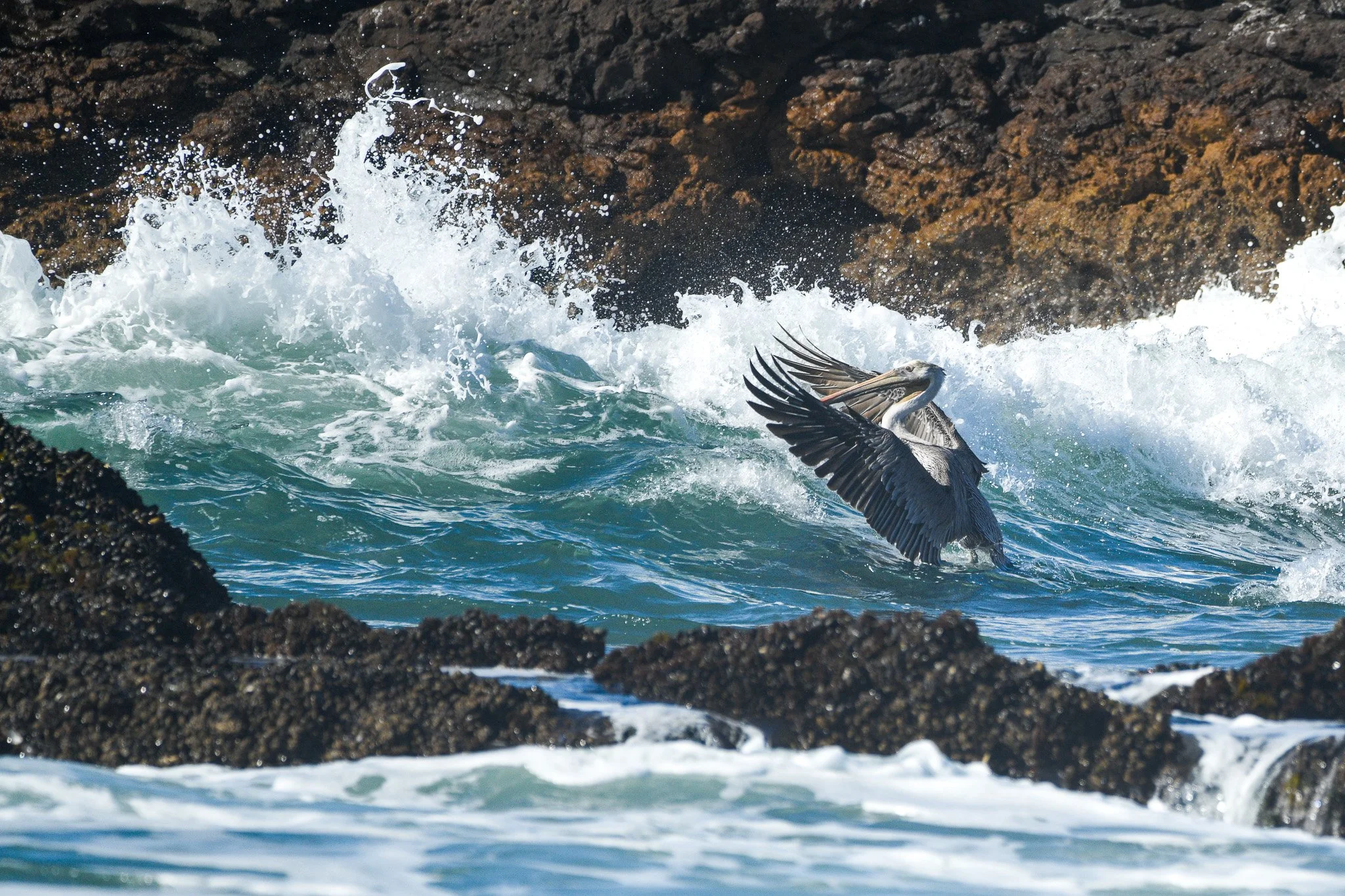 The Ocean's Crescendo