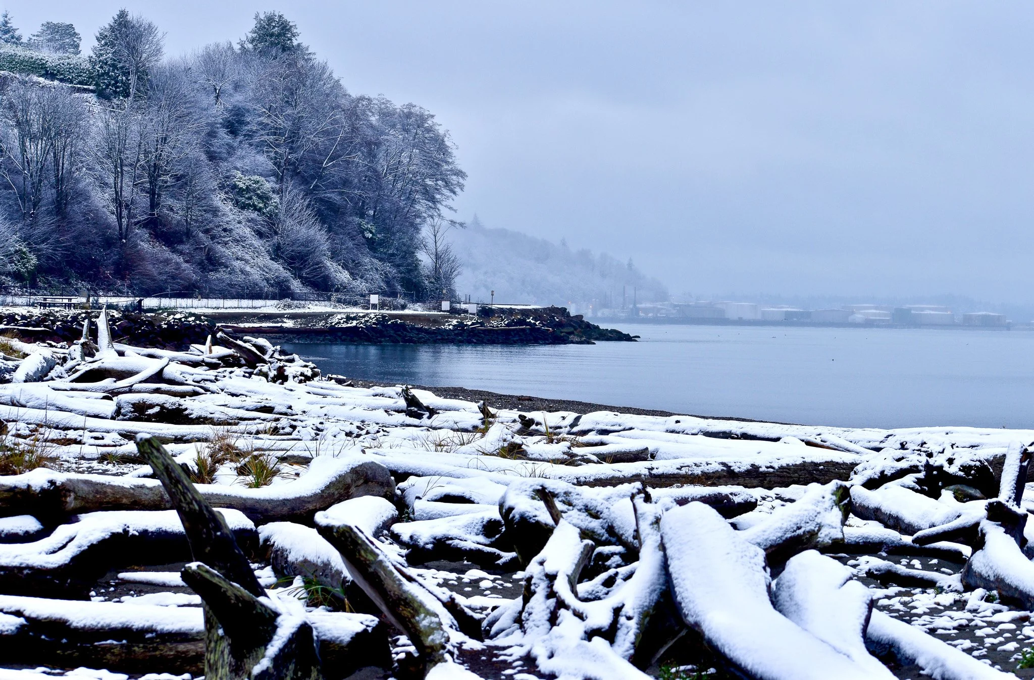 Winter Quiet On the Sound