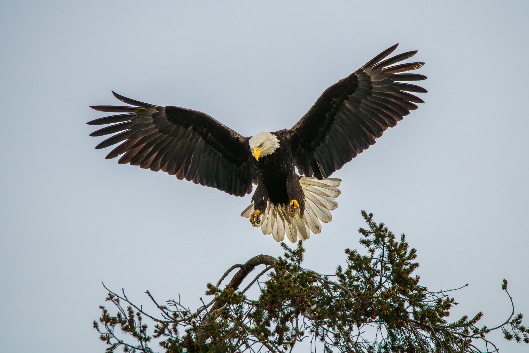 Precision Landing