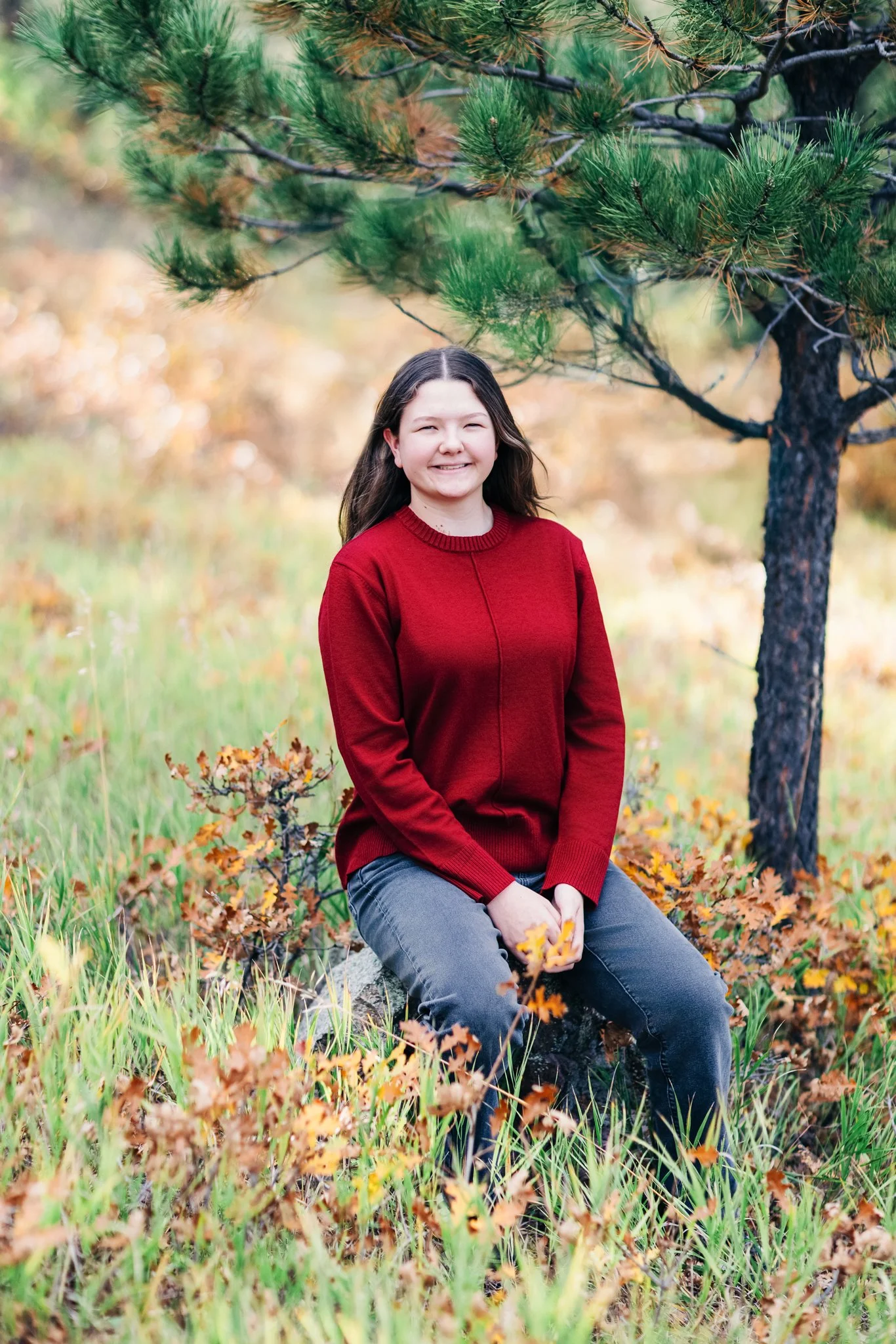 A high school senior with long brown hair, wearing a red sweater and gray jeans, sitting on a rock in a grassy area with autumn leaves, next to a pine tree, smiling at the camera.