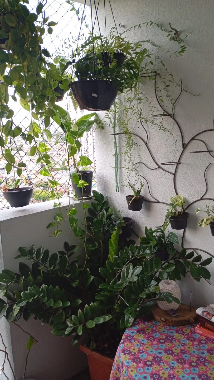 WhatsApp Image 2025-07-09 at 11.15.03.jpeg