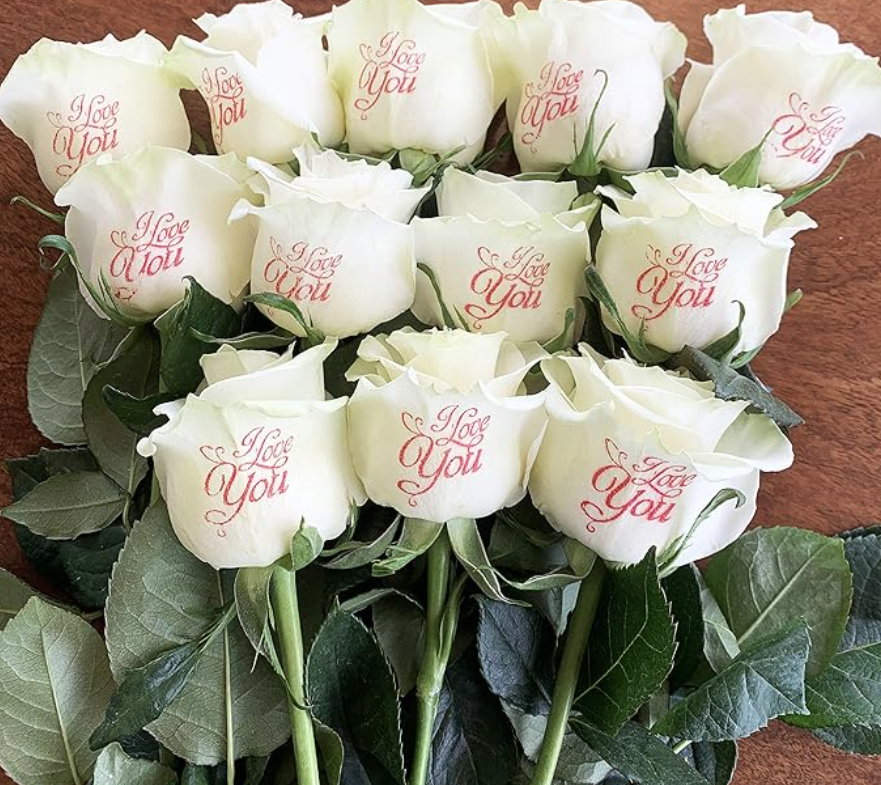 Screenshot 2025-04-14 151906.png