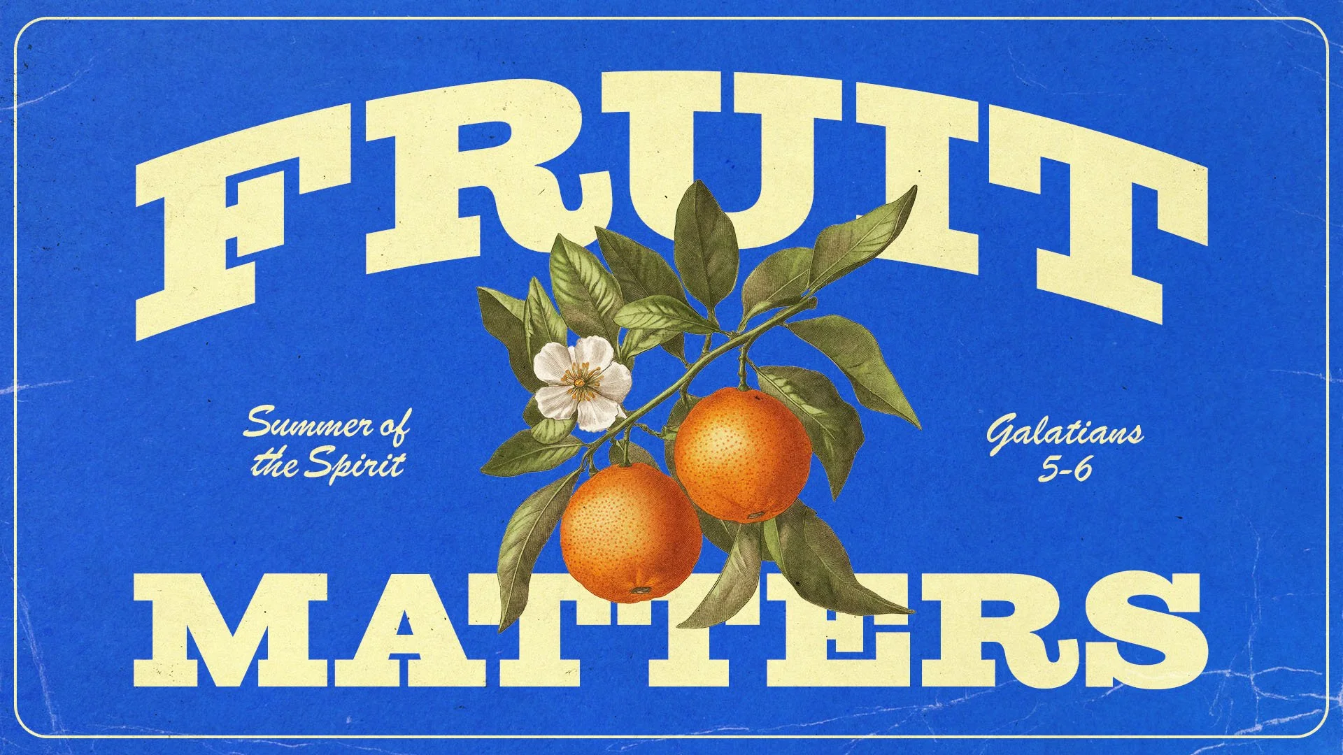 Fruit Matters - Sermon Series - Concept1.jpg