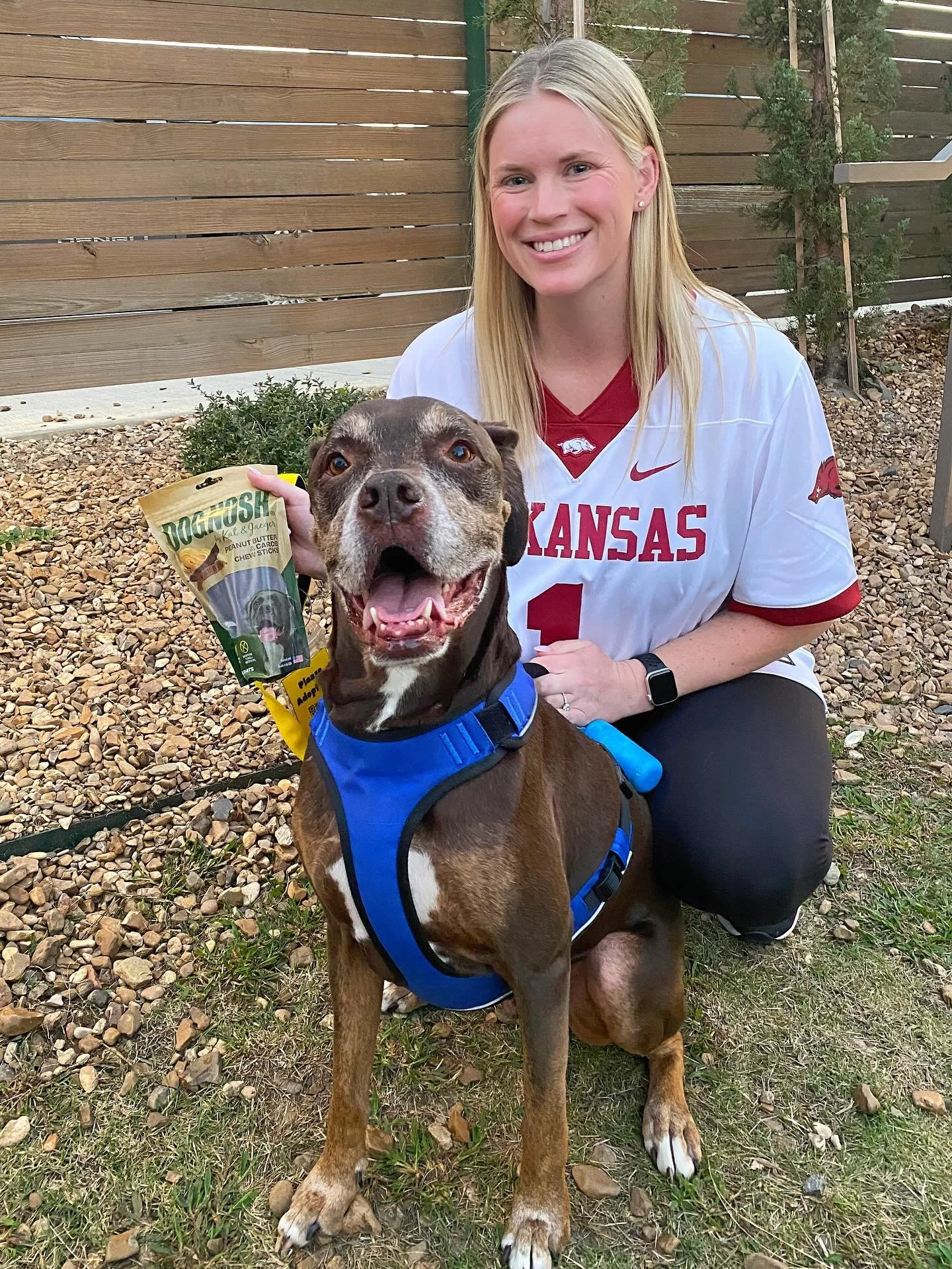 Our &ldquo;why&rdquo; is simple. Rescue dogs like Samson deserve to be loved. 🐾

Because of your support of DOGNOSH, we were able to cover Samson&rsquo;s adoption fees for an approved adopter through @lastchance_ar. He&rsquo;s six years old, gentle,