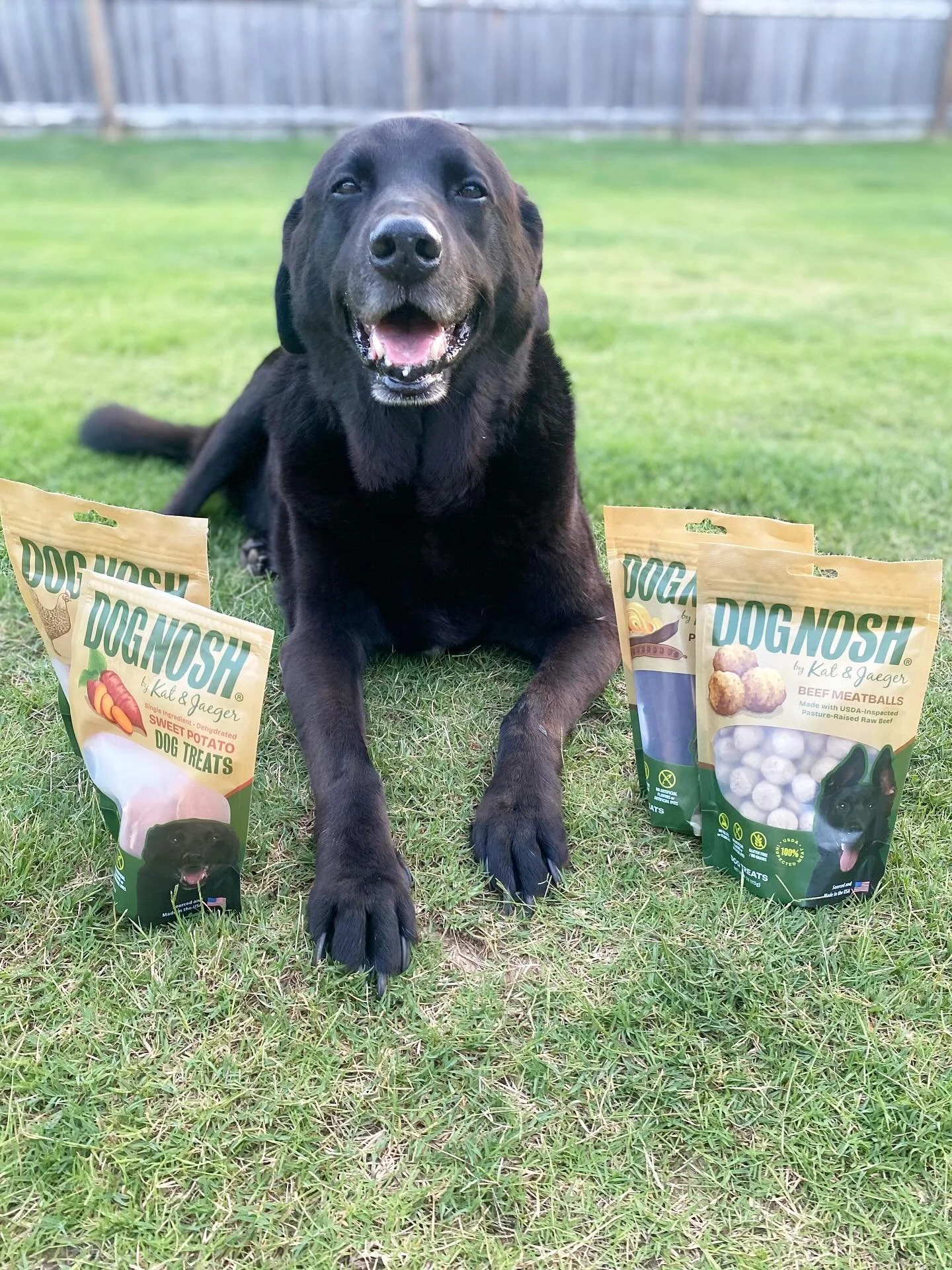 Our very first Feature Friday goes to the OG himself&hellip;the reason behind DOGNOSH 💚

Meet Jaeger. He is my 12-year-old college rescue, best friend, and forever taste tester. He is truly my heart and soul and has been by my side through every cha