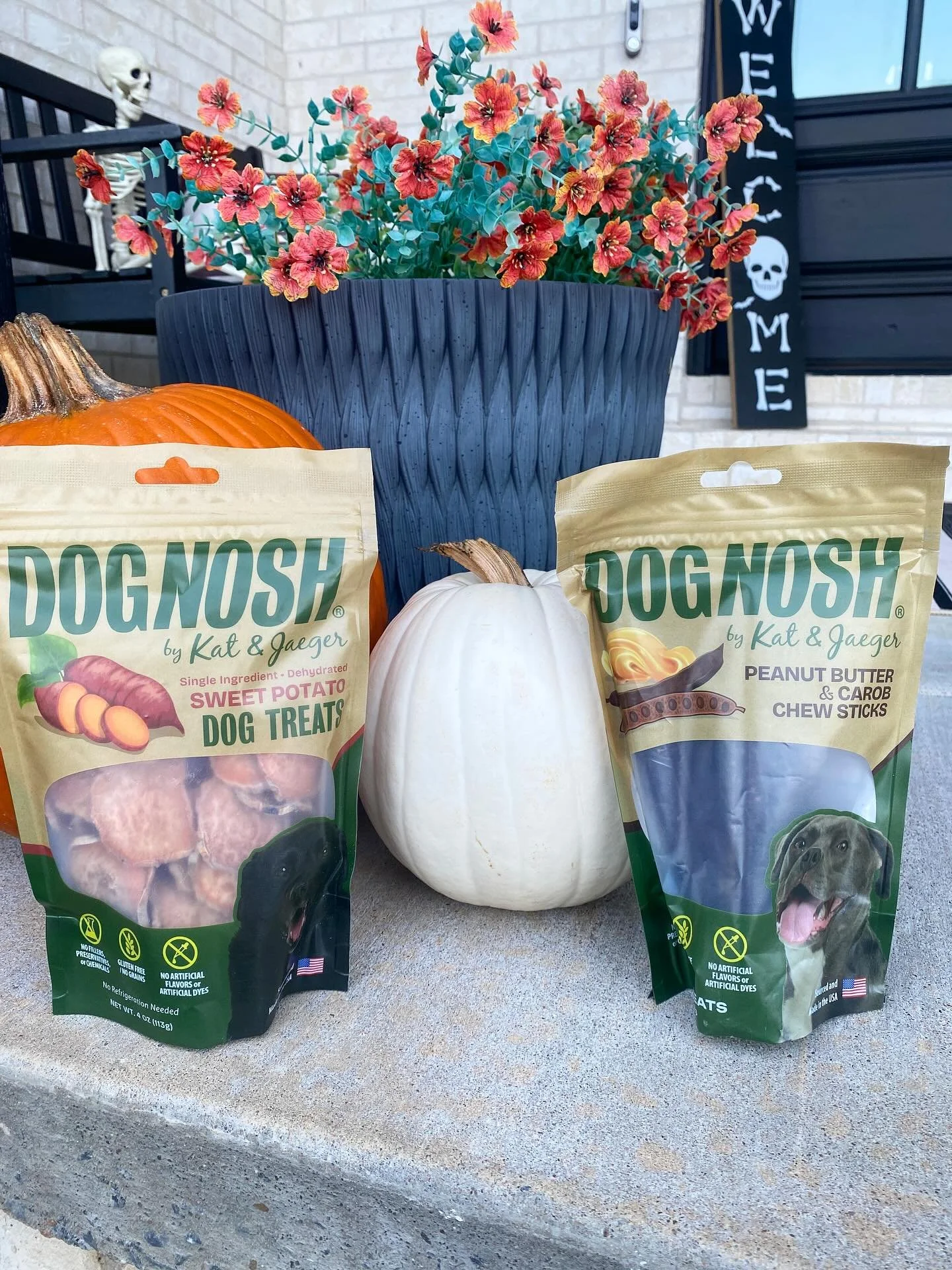 Halloween can be fun for humans but a little spooky for our pups! 

A few tips to keep your furry friends safe tomorrow:
🦴 Keep candy far out of reach
🎆 Loud noises &amp; costumes can stress dogs out. If you&rsquo;re skipping trick-or-treaters, kee