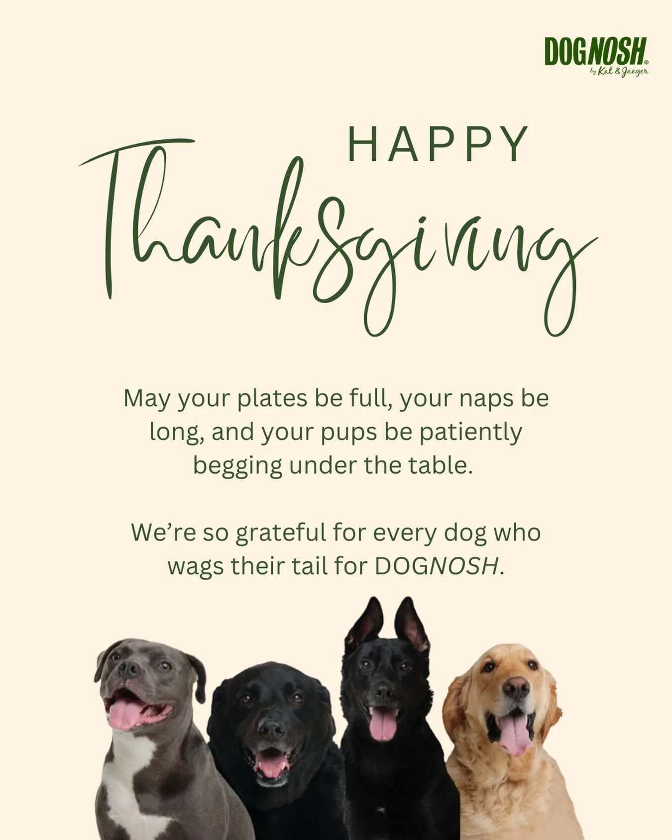 Happy Thanksgiving from DOGNOSH! 

We&rsquo;re truly grateful for this amazing community of dog lovers. Your orders, messages, and photos mean more than you know! 

Enjoy the day with your family and keep an eye out tomorrow&hellip;
👀 Black Friday g