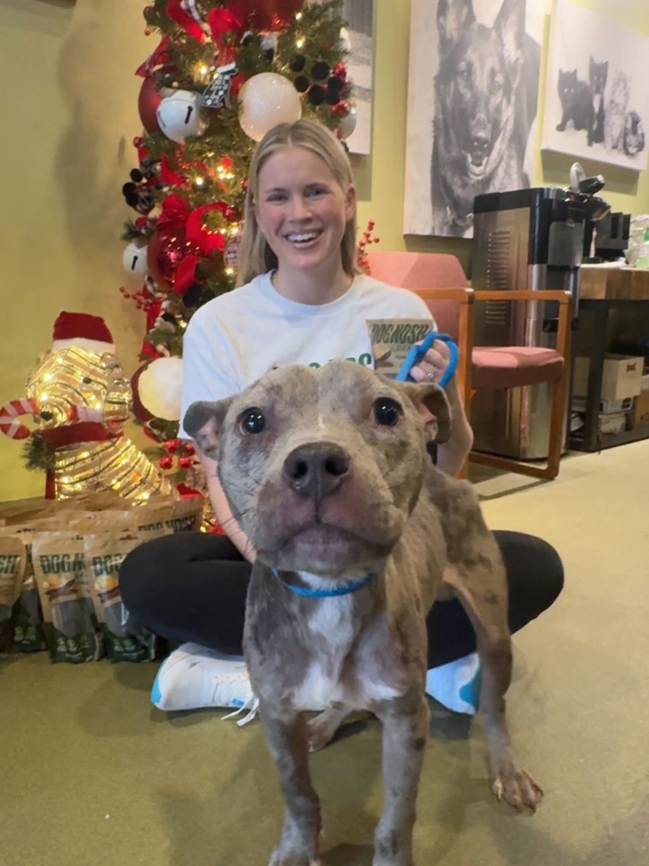 Small Business Saturday feels a little extra special this year 💚

When I say every purchase supports a rescue dog, I truly mean it. Earlier this week I dropped off 40 bags of DOGNOSH treats to @strayrescuestl because of your support. I&rsquo;m overw