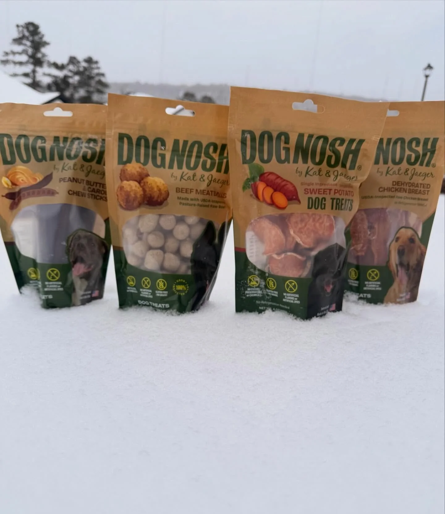 We are officially snowed in! If you&rsquo;re stuck at home with your pups like we are, we&rsquo;ve got a little something to make it sweeter.

Any DOGNOSH order placed now through Monday will be entered to win a FREE bag added to your order. 

No cod