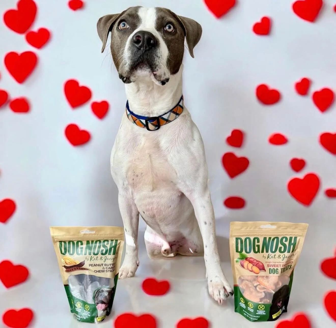 Double tap if you believe every dog deserves a second chance.

Through our February partnership with STL County SAVE, every DogNosh purchase helps fund emergency medical care for dogs who need it most.

Your treat run = real impact. 🐾