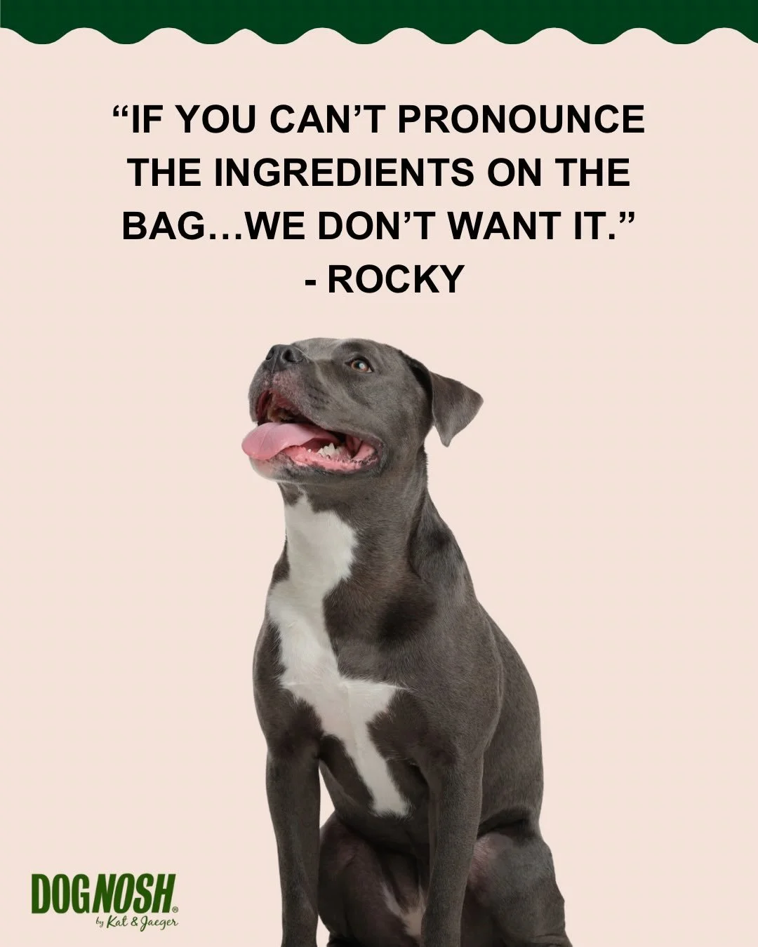 Your dog can&rsquo;t choose what goes in their bowl.

They trust you to.

When I first adopted Jaeger, I started reading the backs of treat bags, and I was shocked.

Five rescue dogs later, reading labels isn&rsquo;t something I think about. It&rsquo