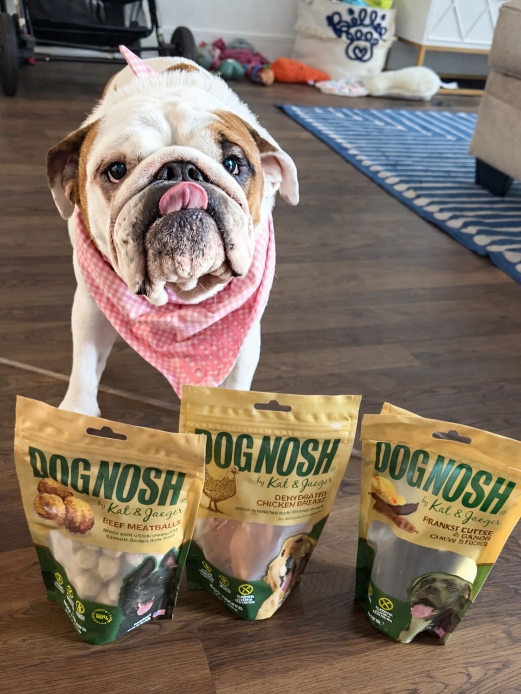 Billie&rsquo;s face says it all. DogNosh > literally anything else 😎