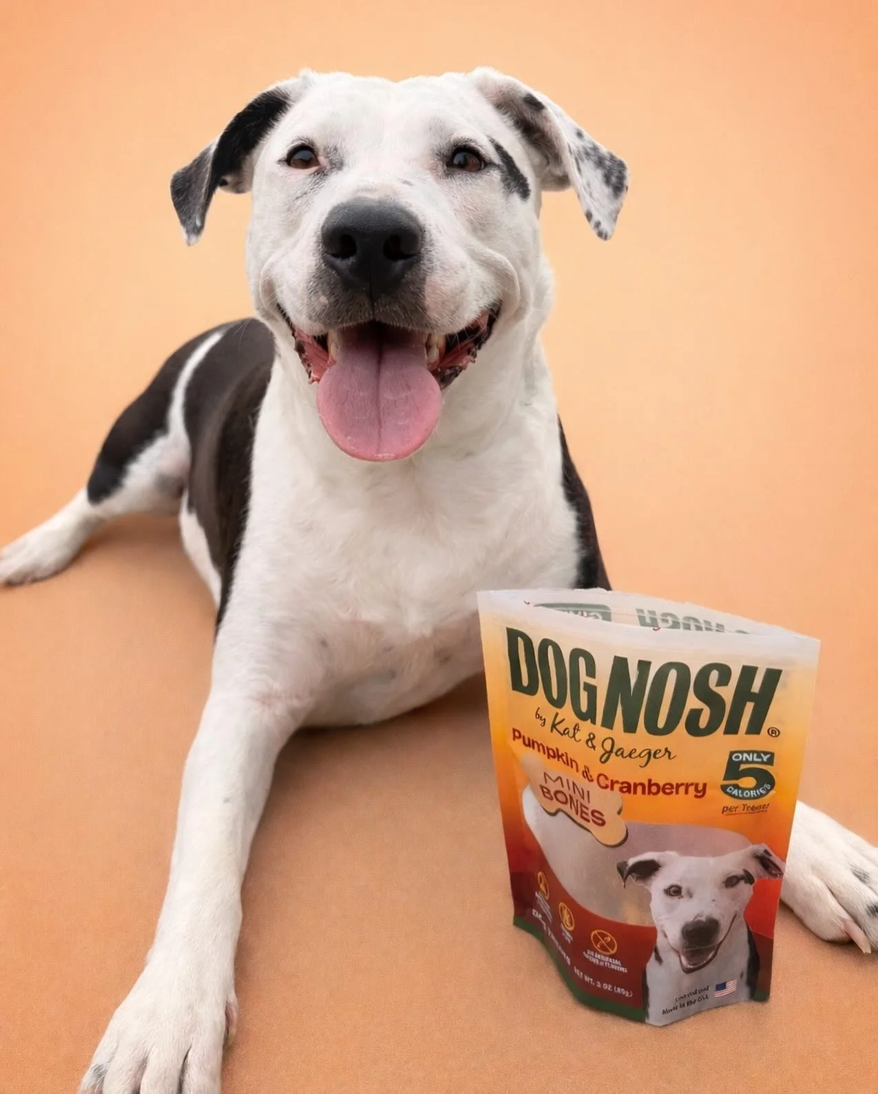 Daisy is officially ready to share her treats with the world!

We are SO excited to introduce our new bakery-style training treats!! If you notice, the packaging looks a little different than our original four&hellip; and that was 100% intentional. 
