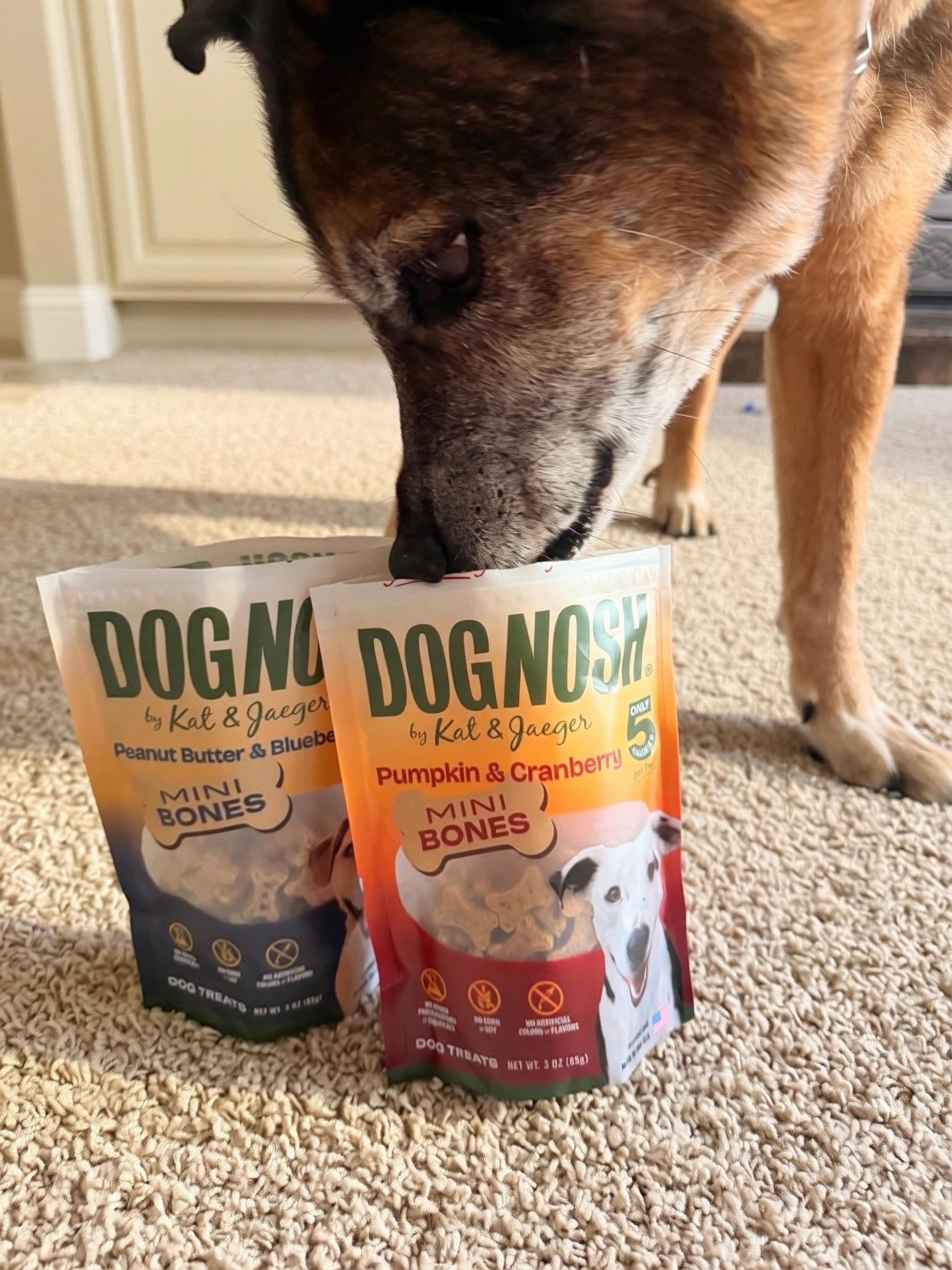 Friday mood: sniffing out what&rsquo;s next. 🦴

Our two brand-new treats are almost here. 

Launching Monday, June 1st, these bite-sized treats are made for adventures, training sessions, and every good dog who deserves clean, simple ingredients.