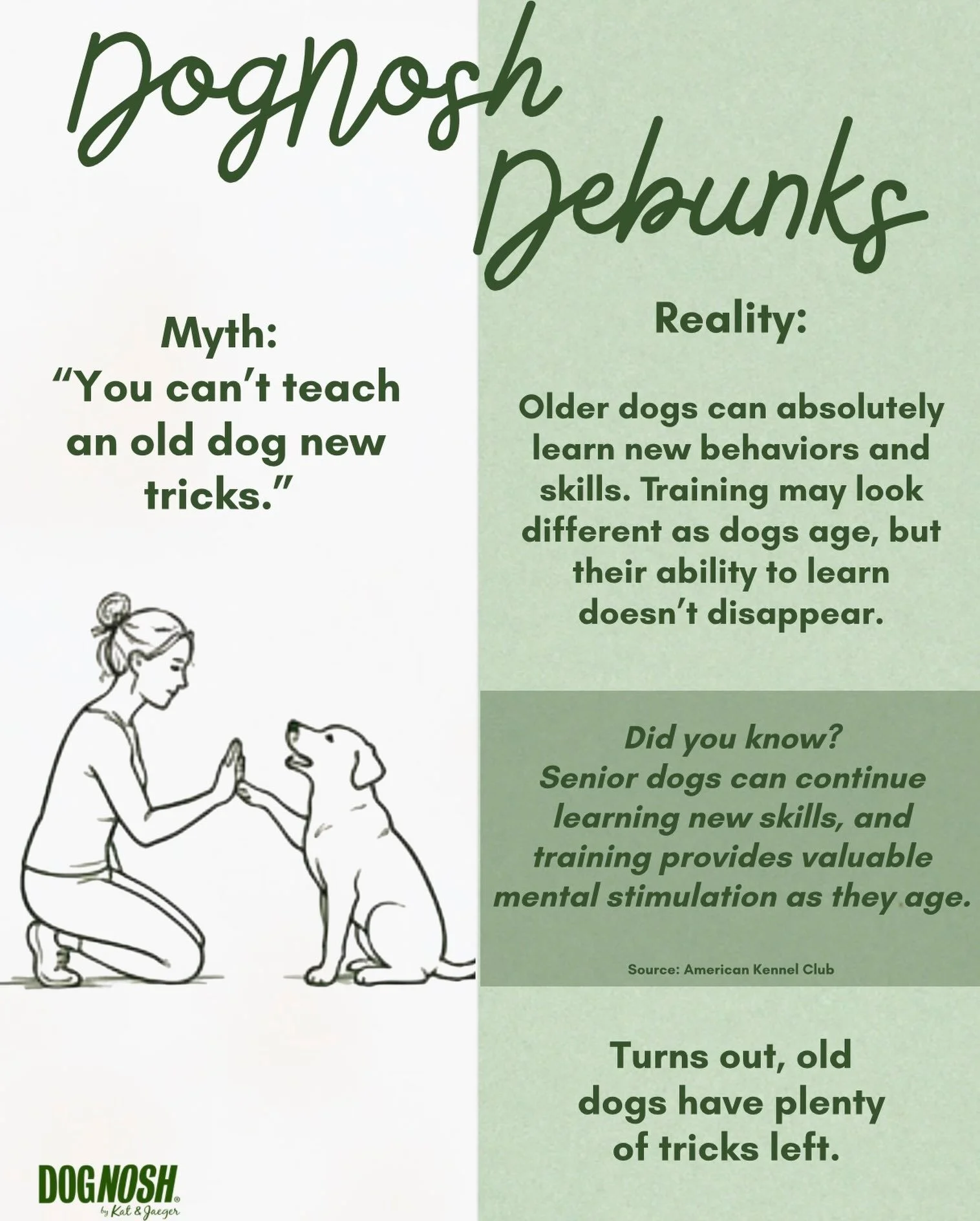 &ldquo;You can&rsquo;t teach an old dog new tricks&rdquo; might be one of the most repeated dog sayings out there, but age doesn&rsquo;t mean a dog suddenly loses the ability to learn.

Older dogs can still learn new behaviors, routines and skills. T